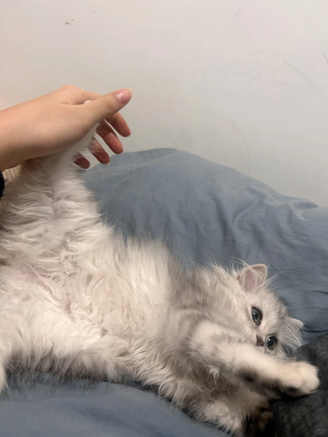 女明星私房照曝光！