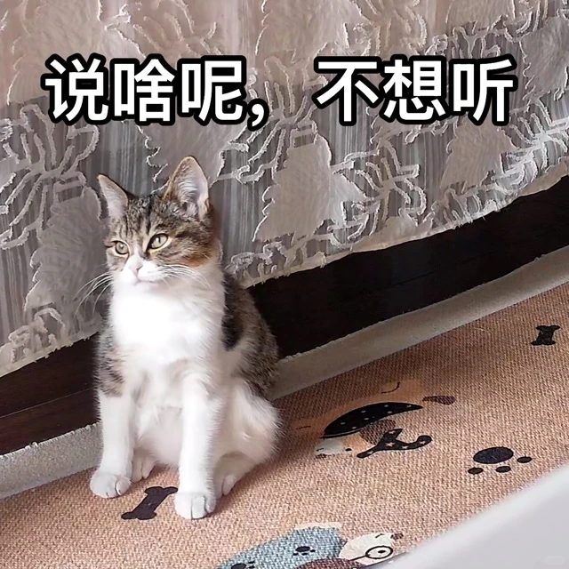 秋秋表情包第一弹