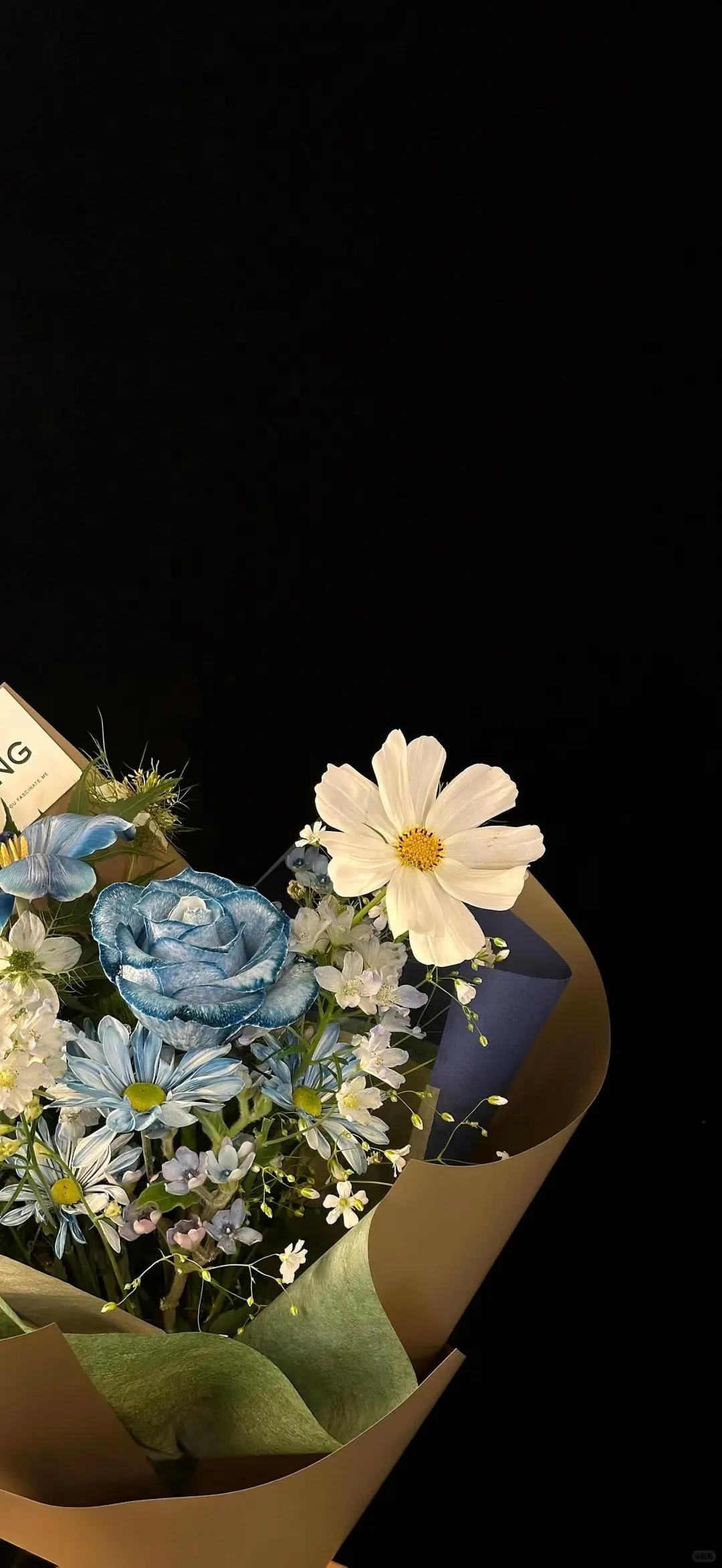 💒 𝐒𝐡𝐚𝐫𝐞｜黑白鲜花壁纸