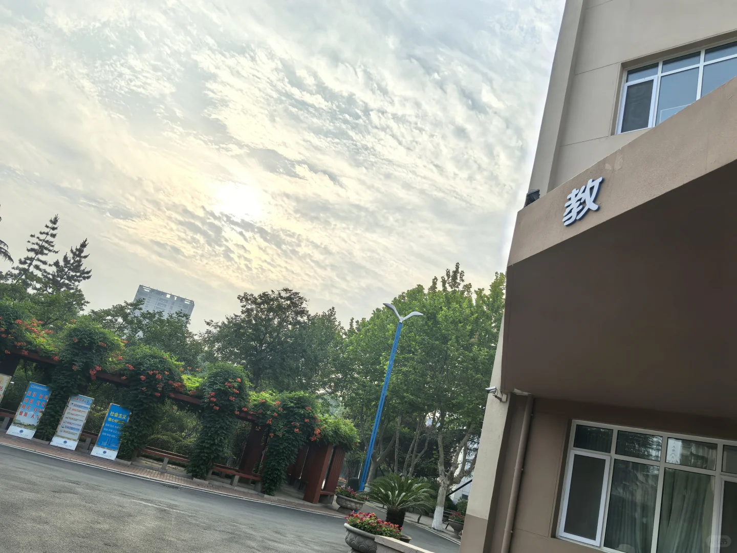 人不能同时拥有青春和对青春的感悟