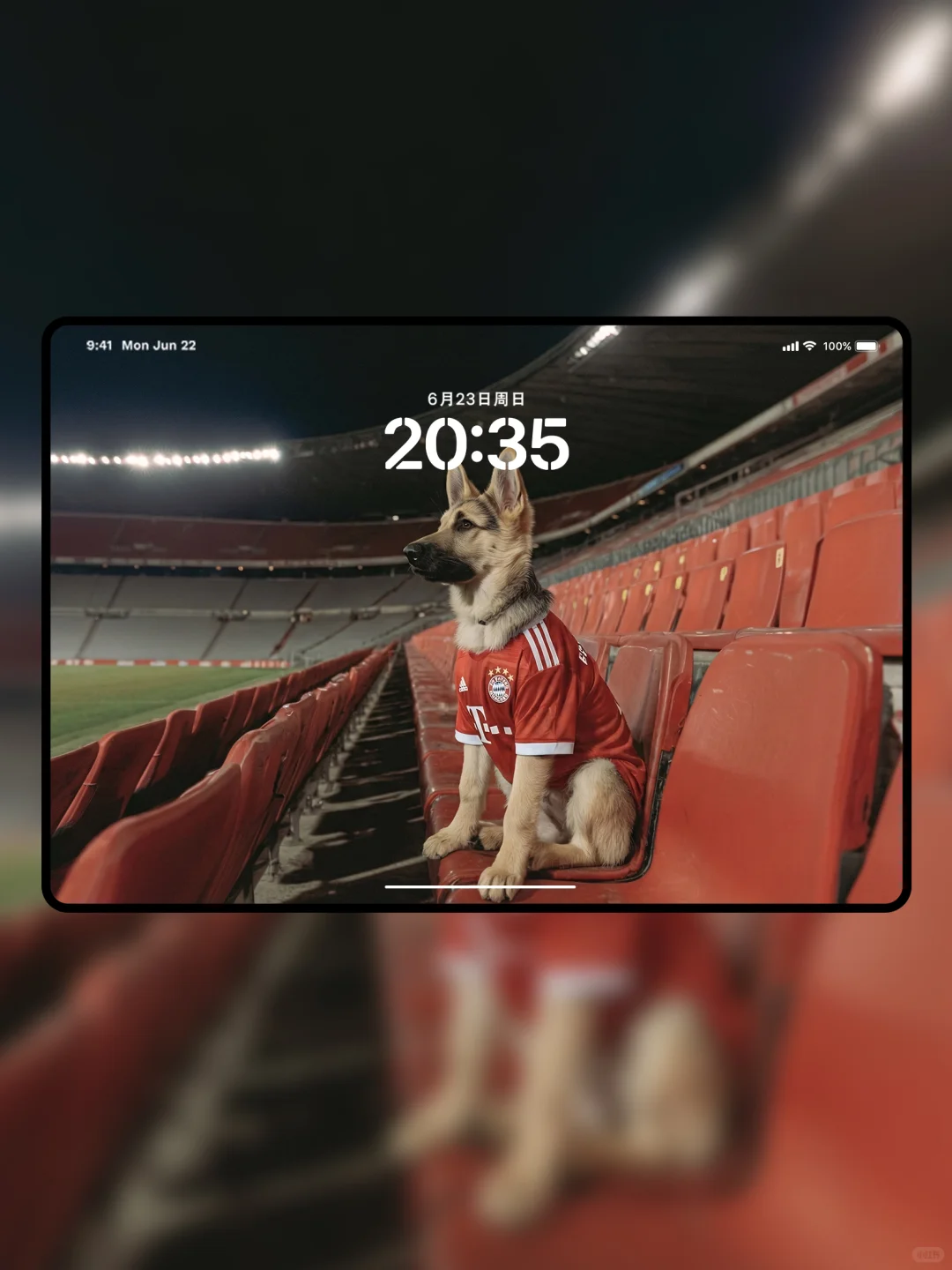 拜仁新援登场🐾⚽️ 168