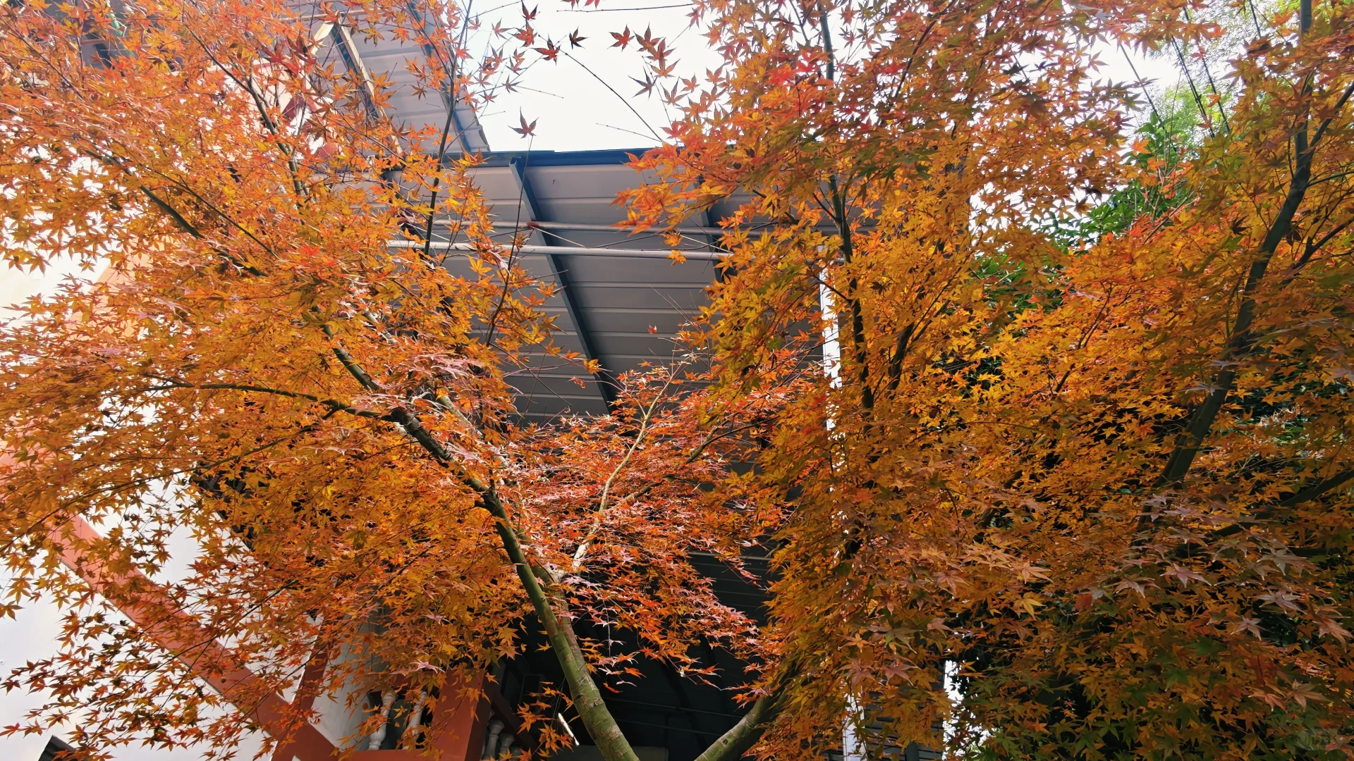 所以，焦虑的你，缺的是与自然的交融和互动