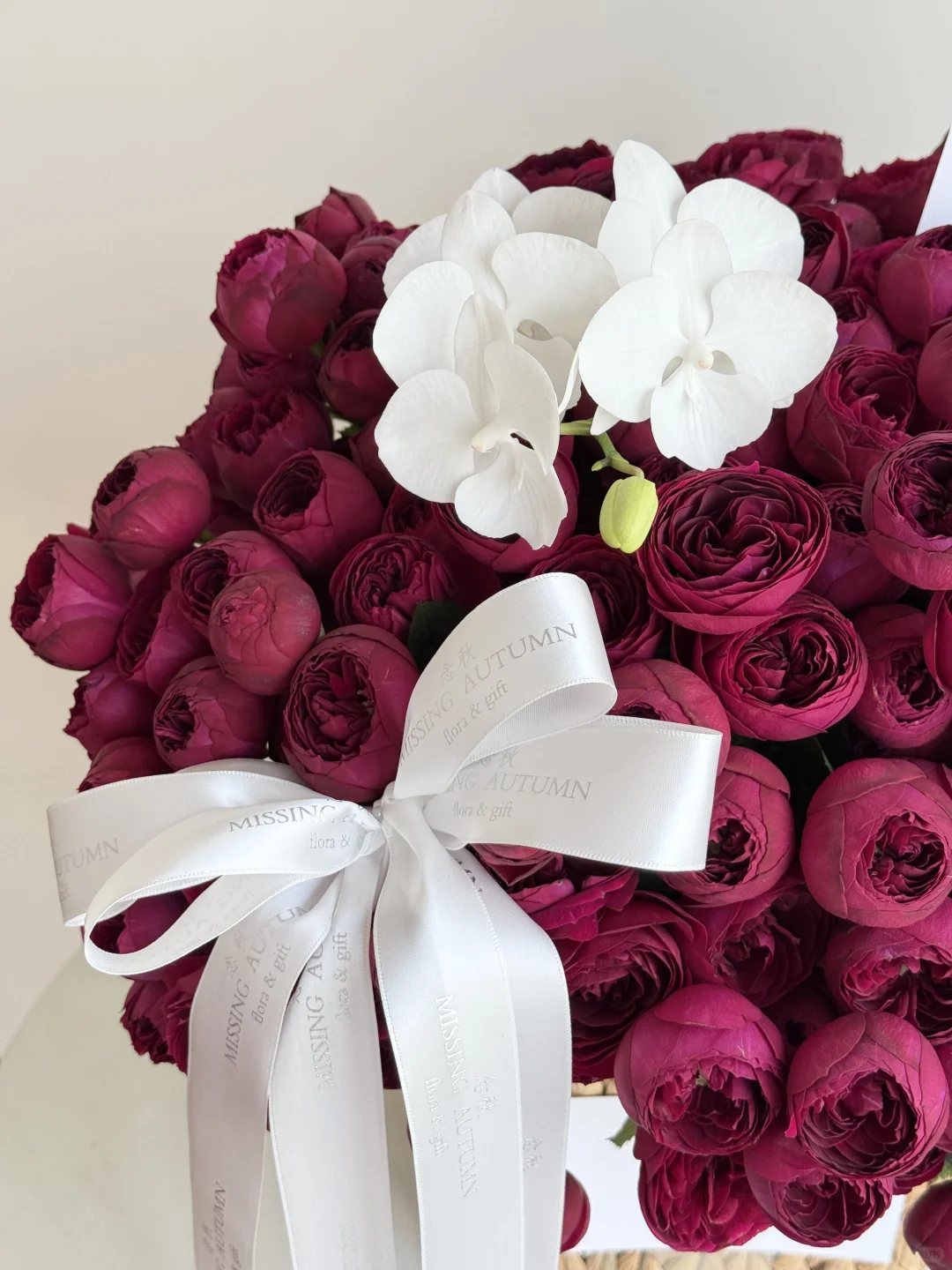 红蕾丝玫瑰🥀你是懂拿捏氛围感的！！！！！