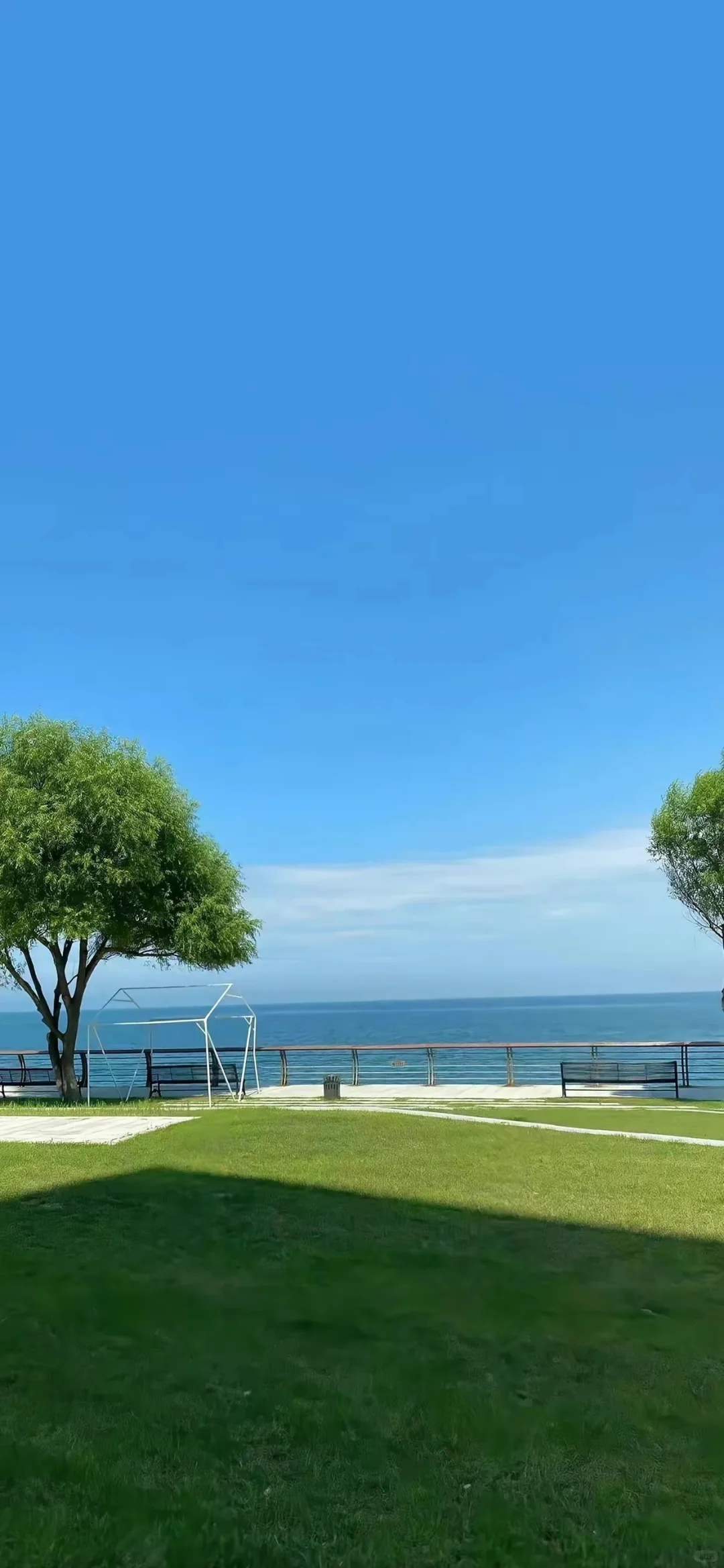 December 7, 2025｜壁纸