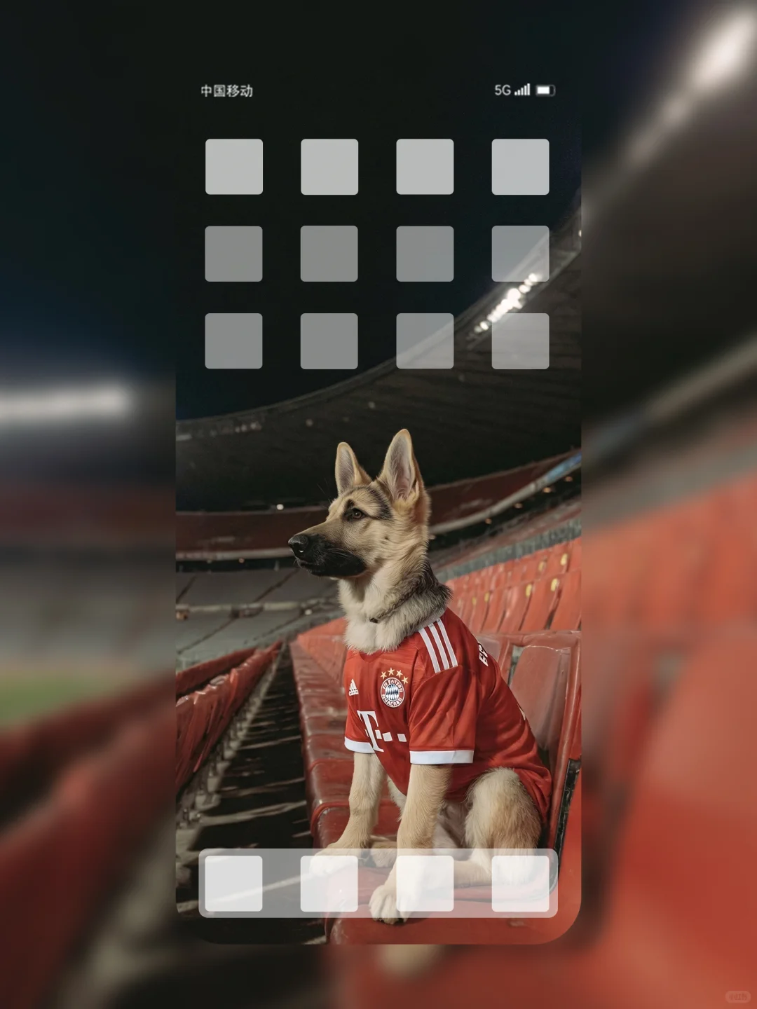 拜仁新援登场🐾⚽️ 168
