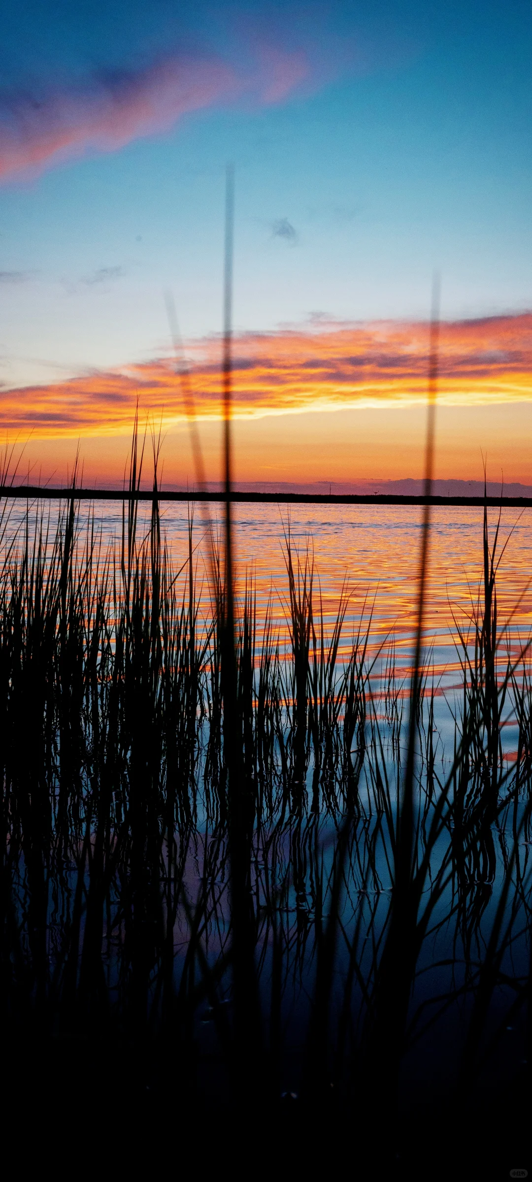 今日壁纸丨高级小众风景壁纸