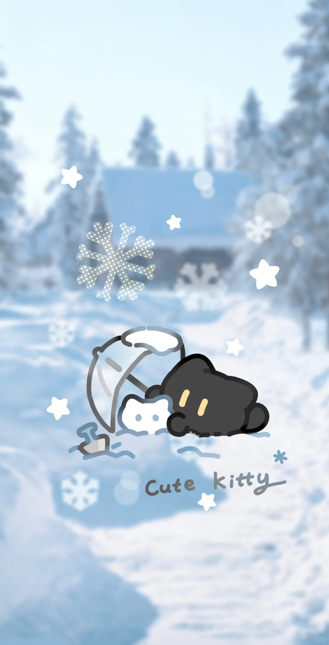 🌨️雪地小黑猫壁纸来啦❄️