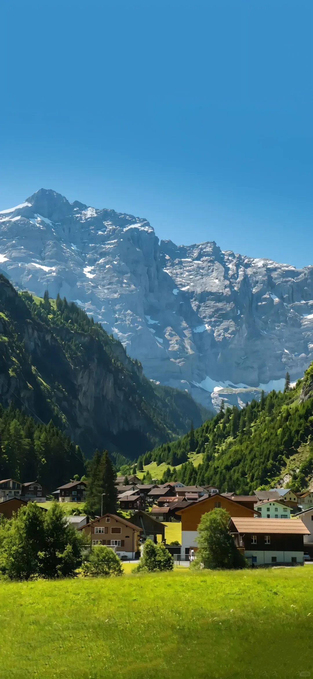 December 7, 2025｜壁纸