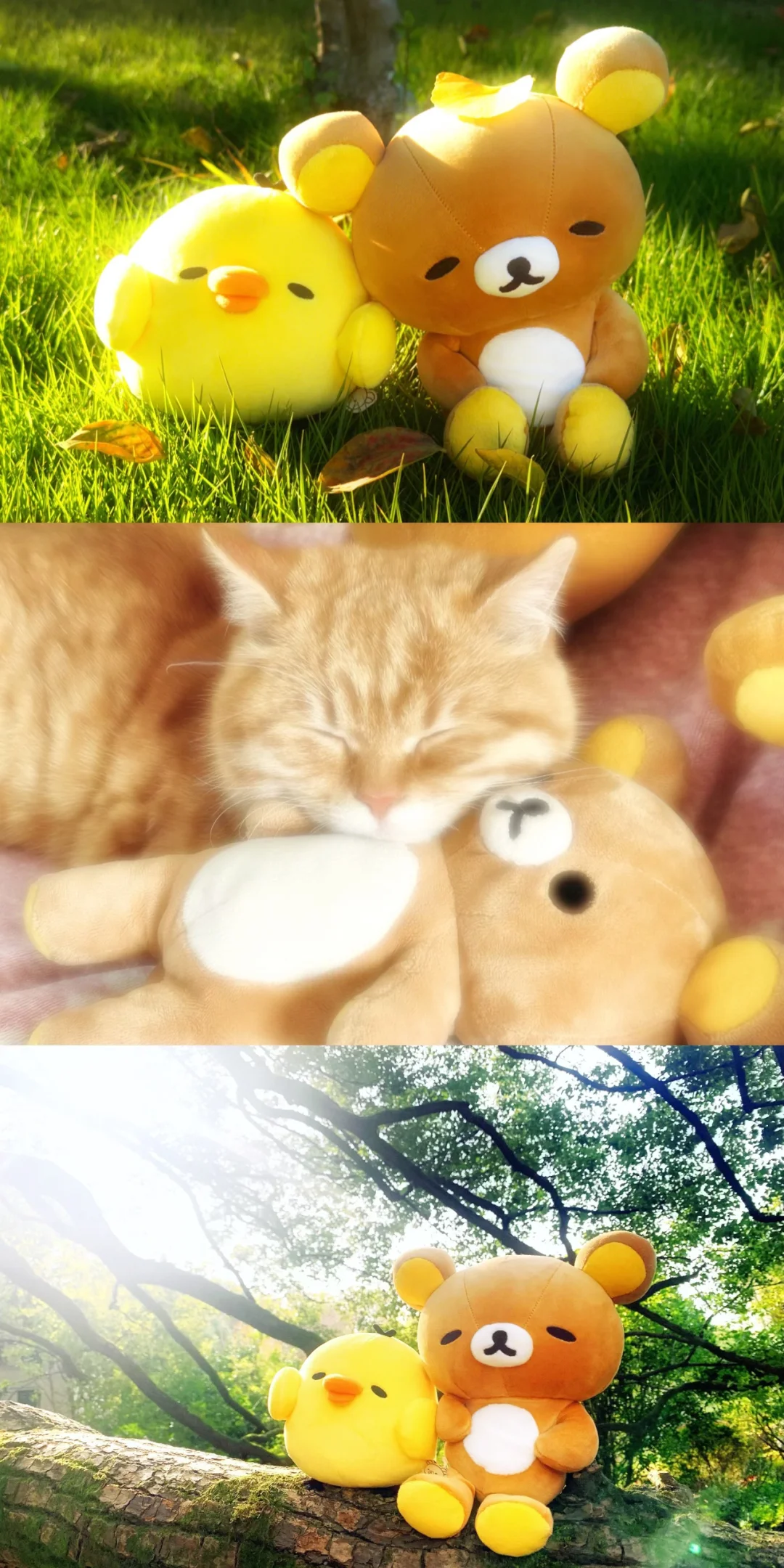 Share 拼接壁纸 ʕ •ᴥ•ʔ