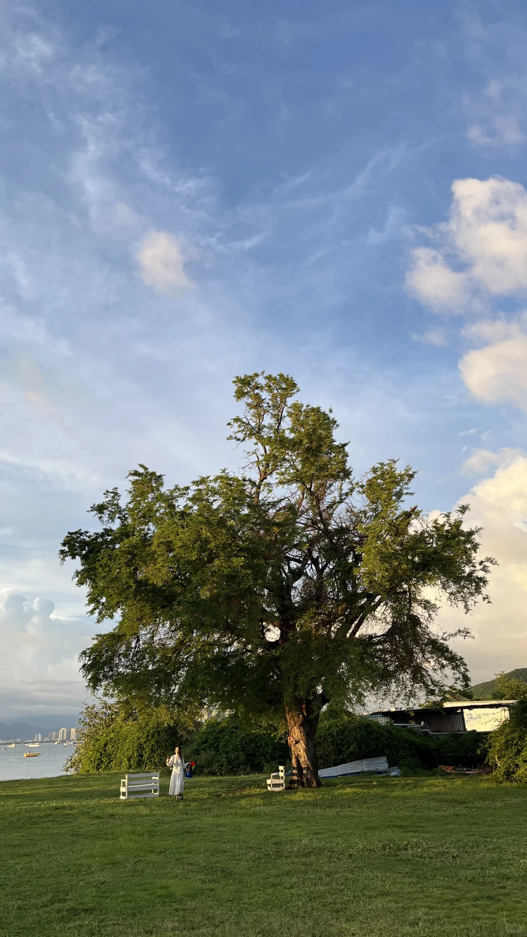 160 80 海边碎片🌊