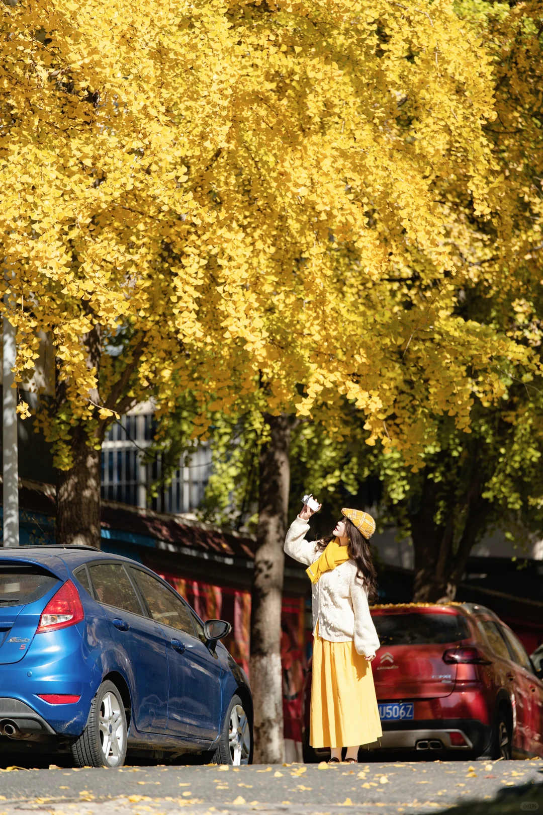 高个子微胖女生户外模特的一天！！！