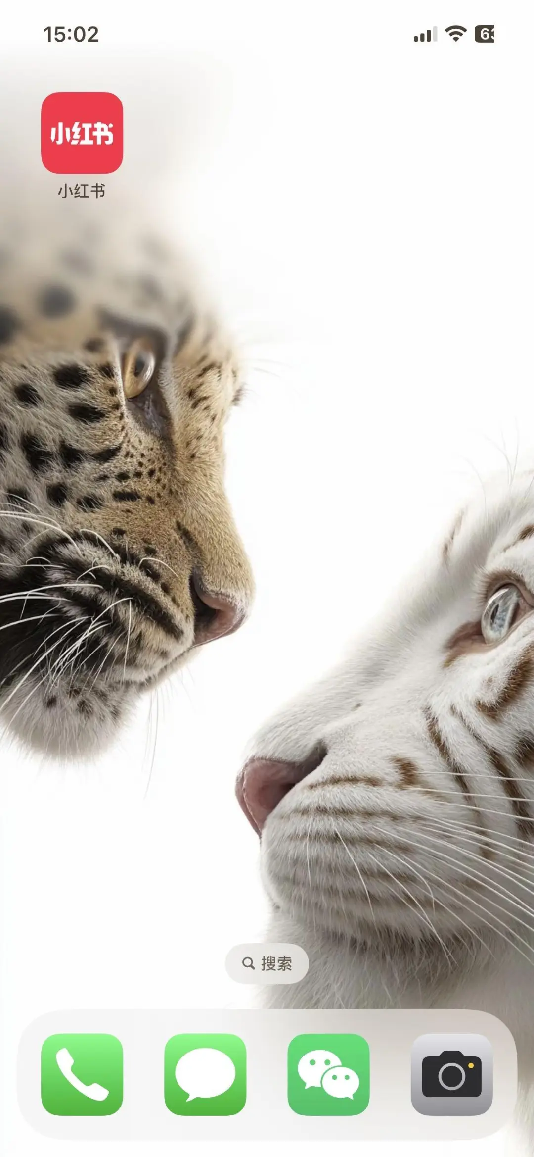 白虎与豹子｜壁纸