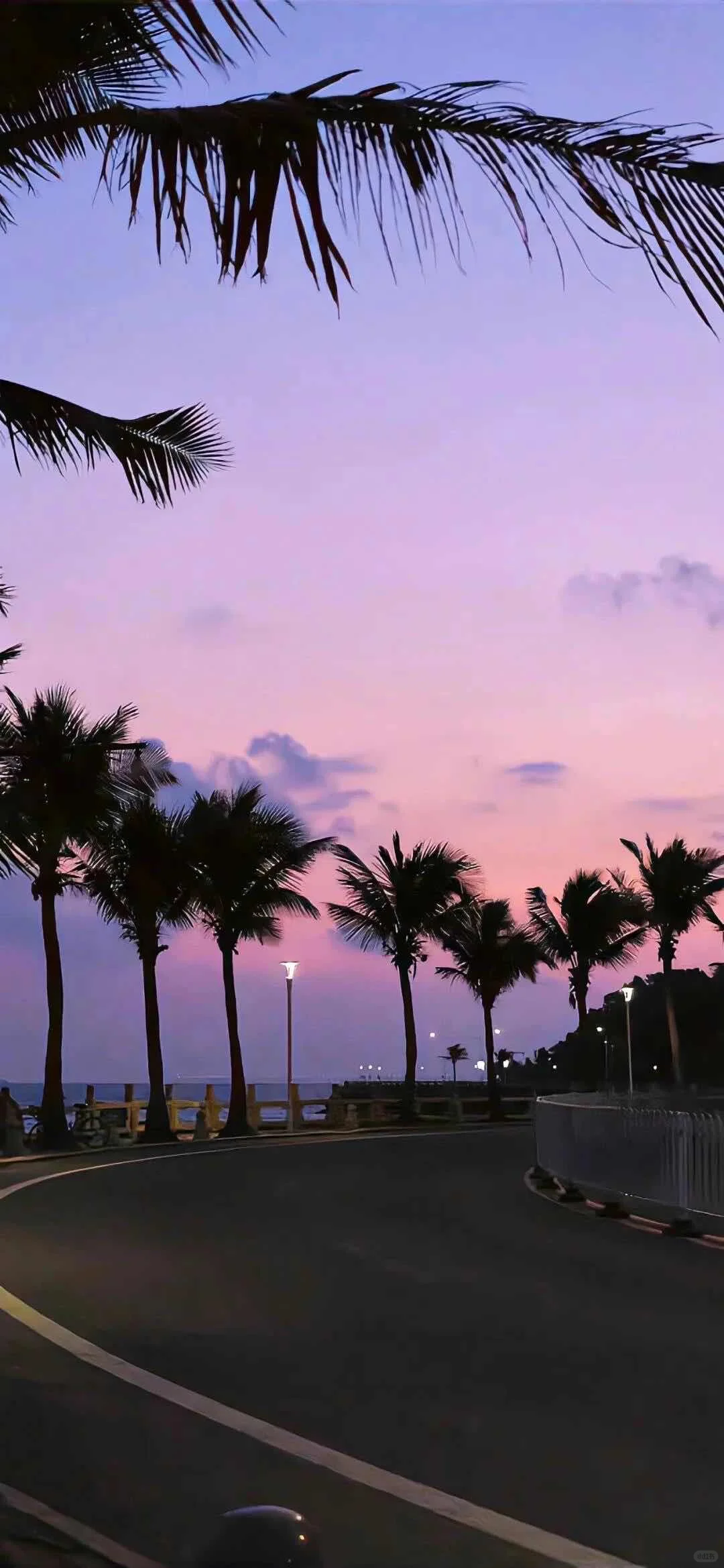 爱惨这组小众氛围感壁纸了！！