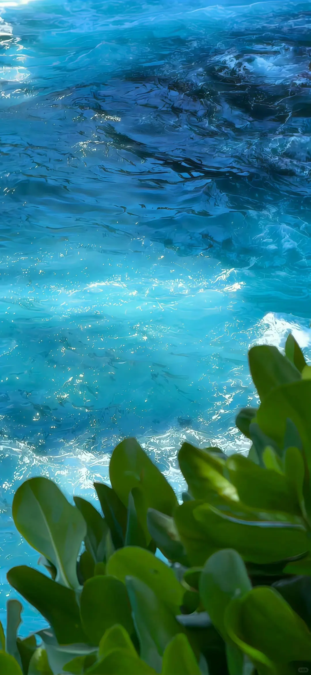 绿色系壁纸|真的好喜欢绿色