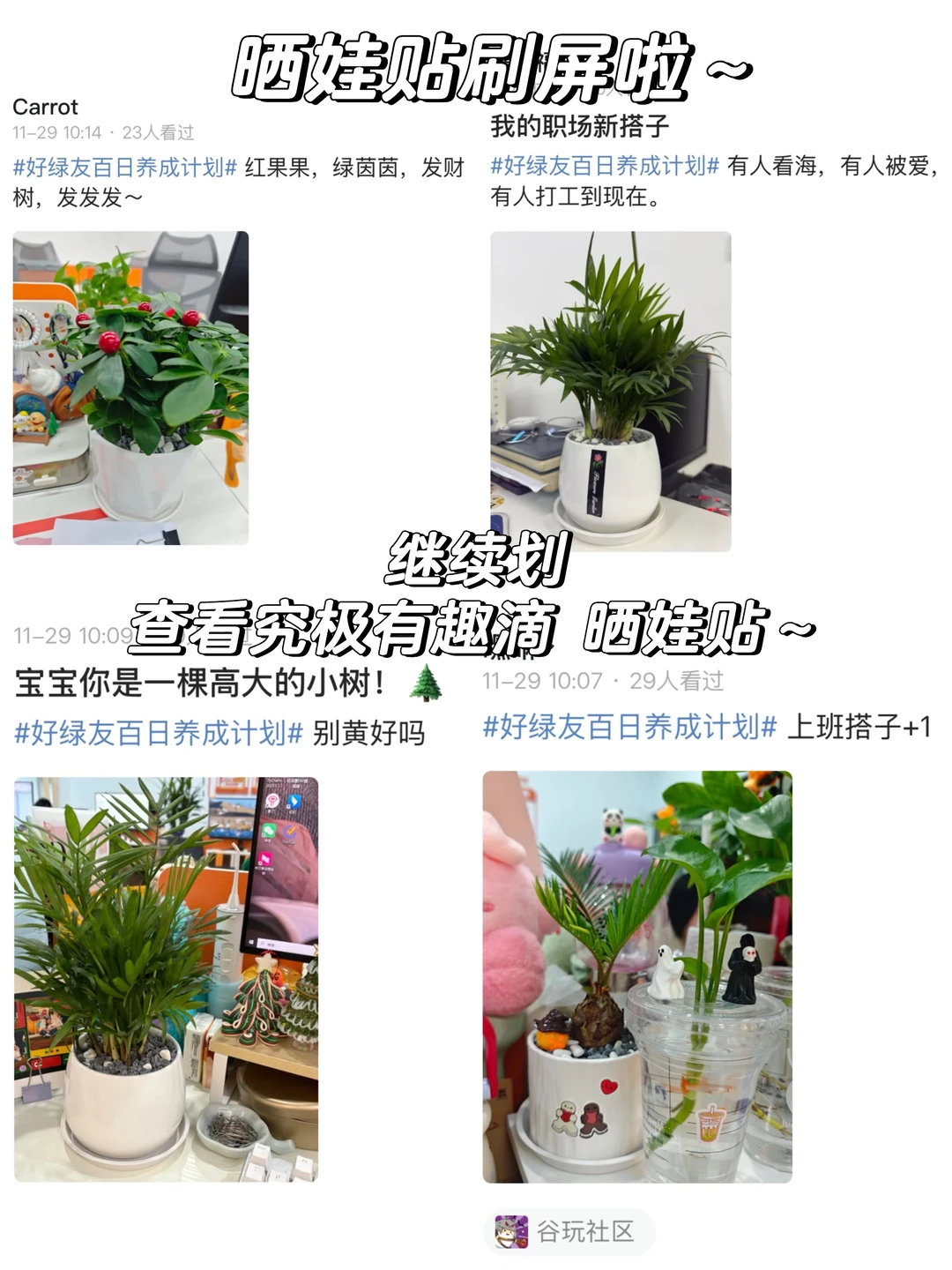 工位绿植｜快来PICK你最喜欢的娃仔🪴