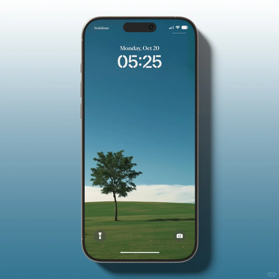 iPhone壁纸｜树、、