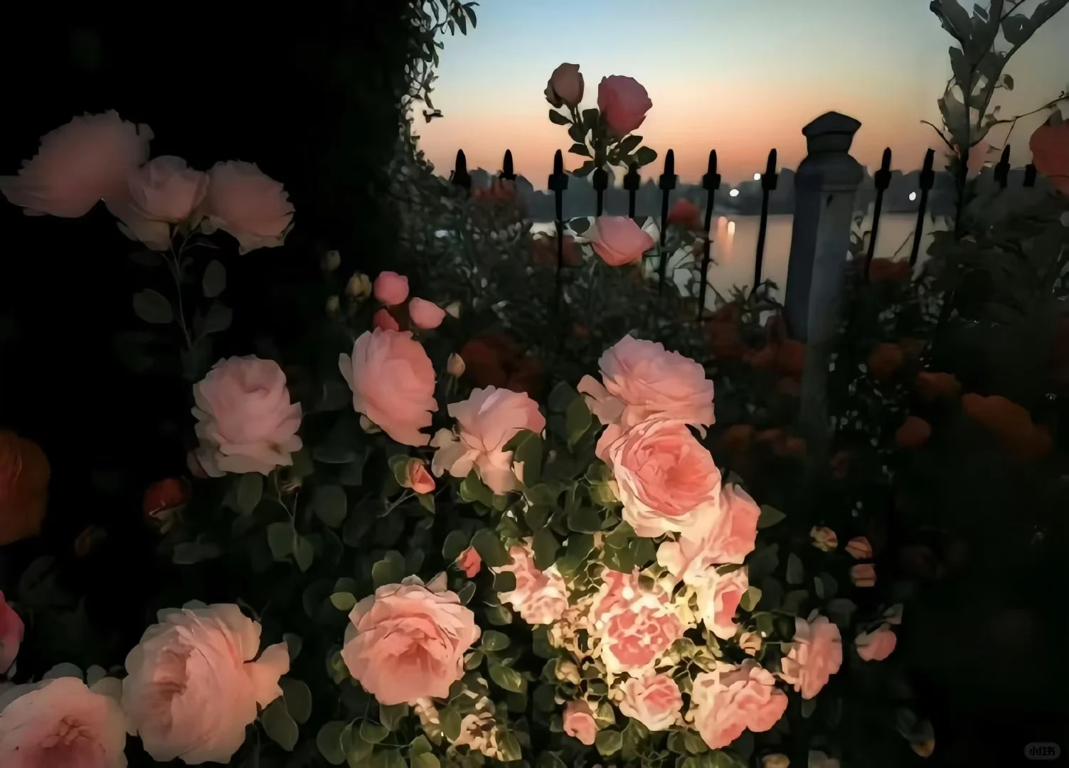 Share|3D景深壁纸