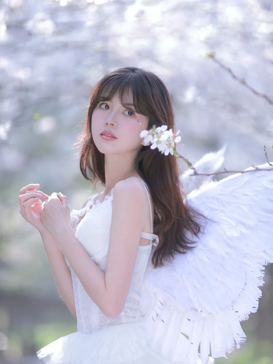 你的小天使降临啦！ 樱花天使写真