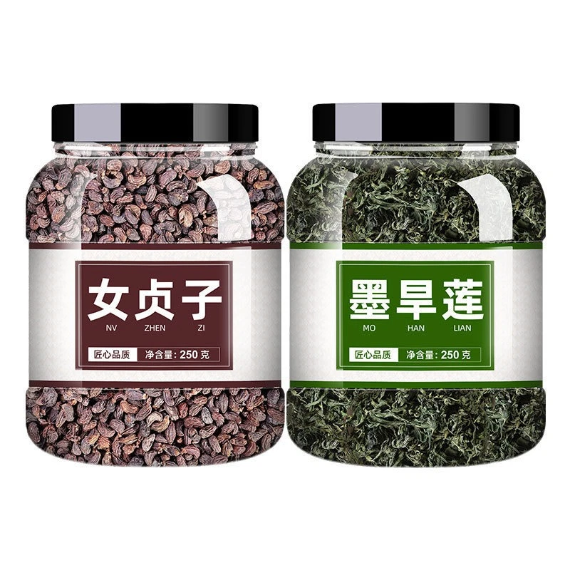 女贞子墨旱莲，养生茶饮新选择🍃