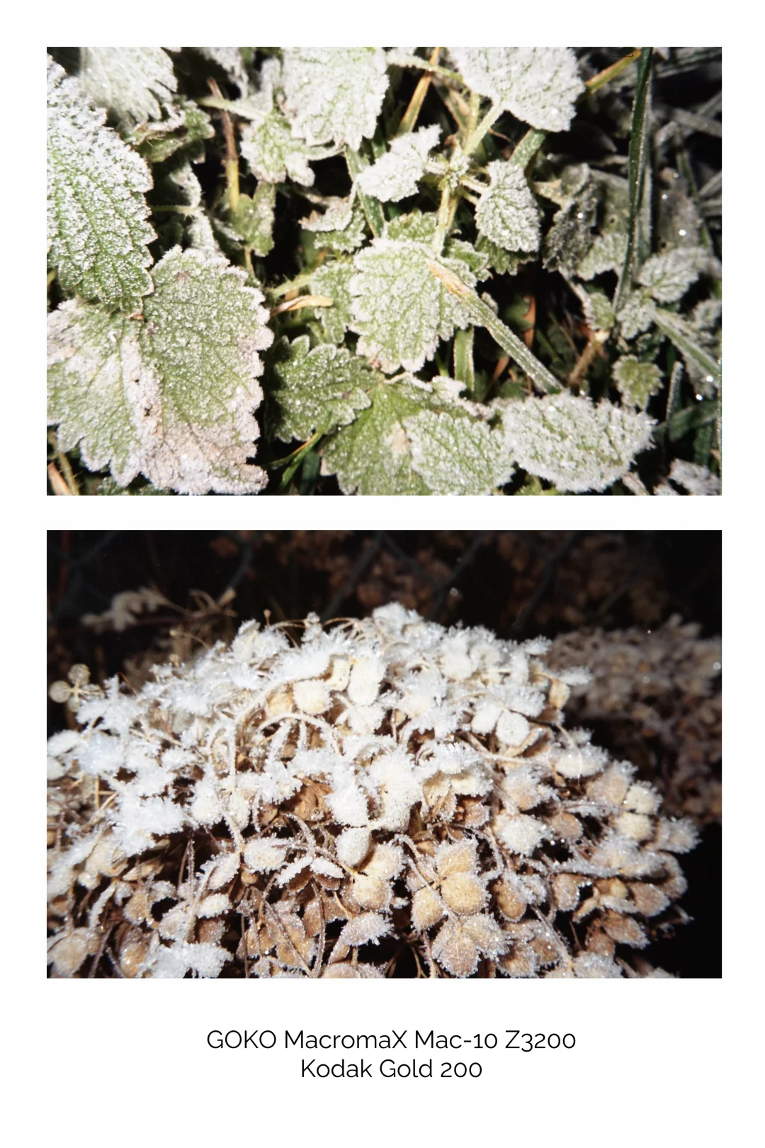 胶片傻瓜机拍私房🎞️亲密的那种