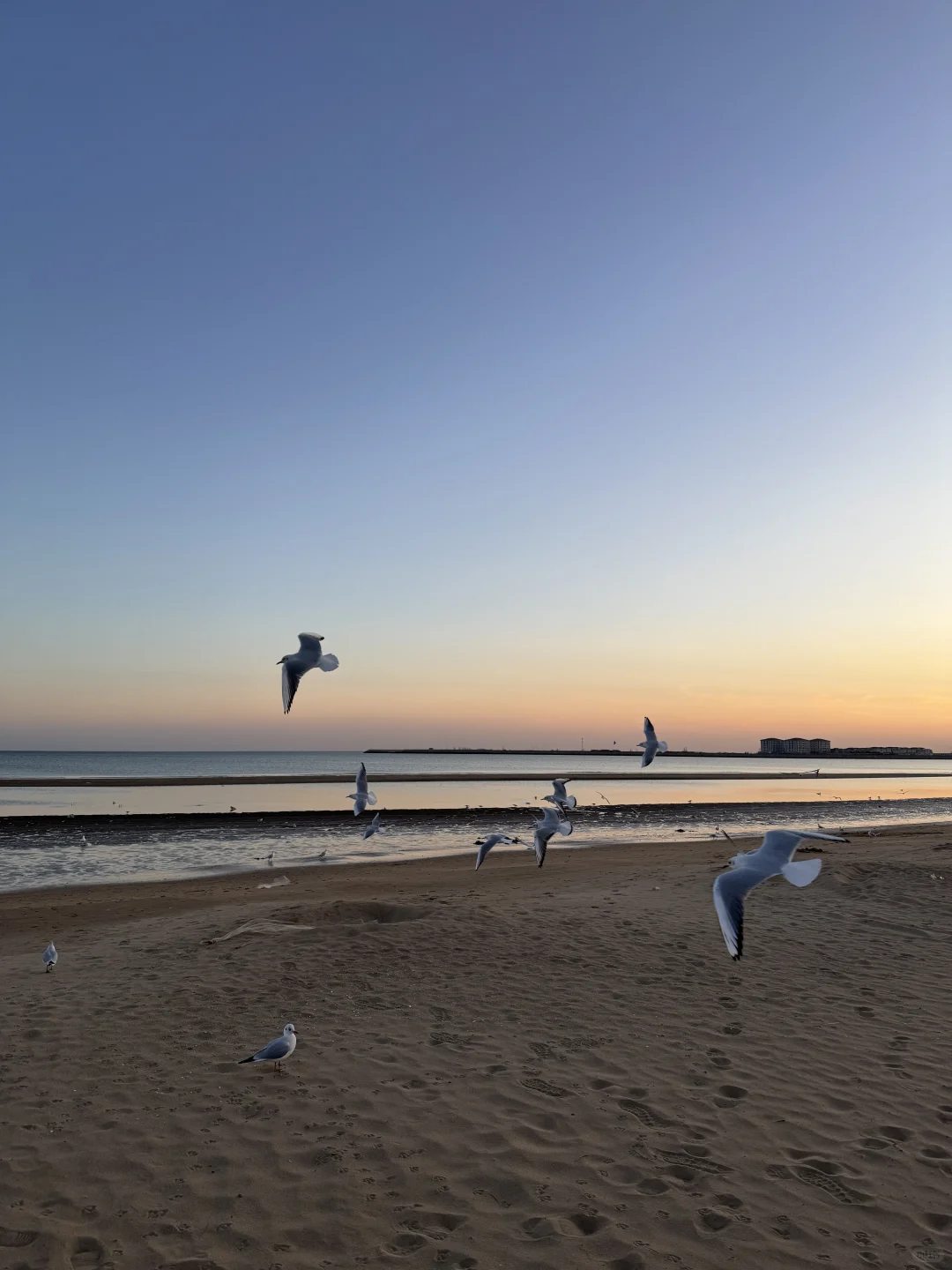 海边黄昏拍照 浪漫氛围时刻🩵