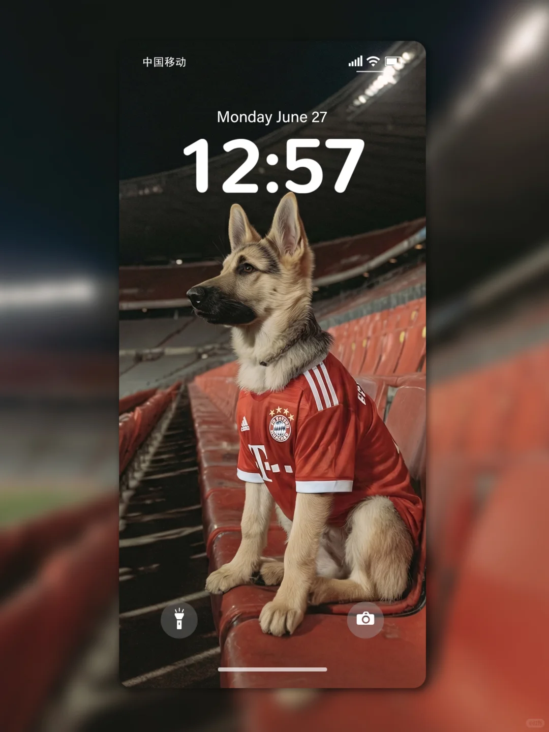 拜仁新援登场🐾⚽️ 168