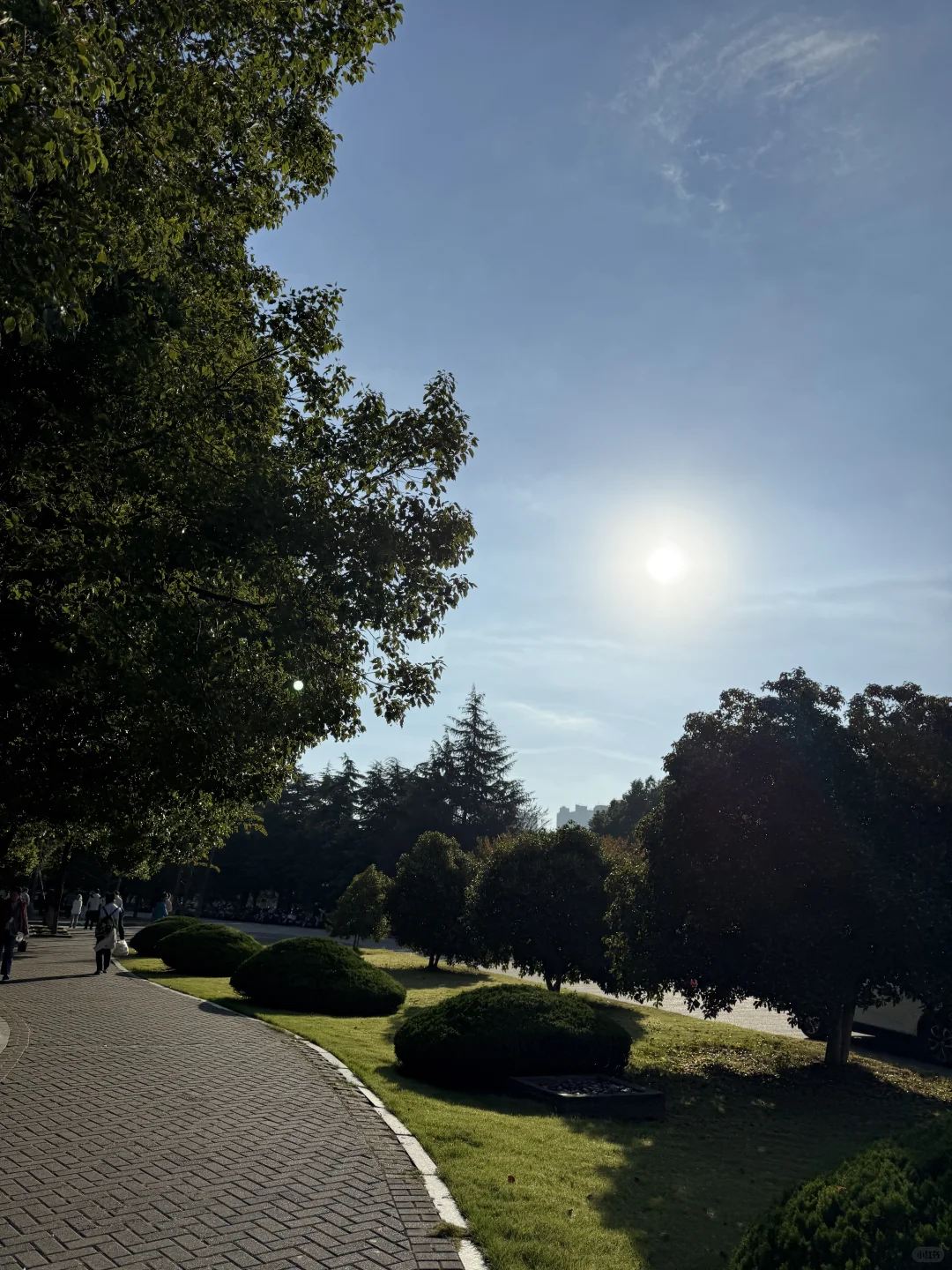 图片壁纸 分享随手拍