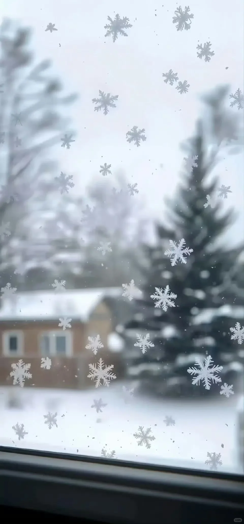 ❄️Share | 雪花壁纸