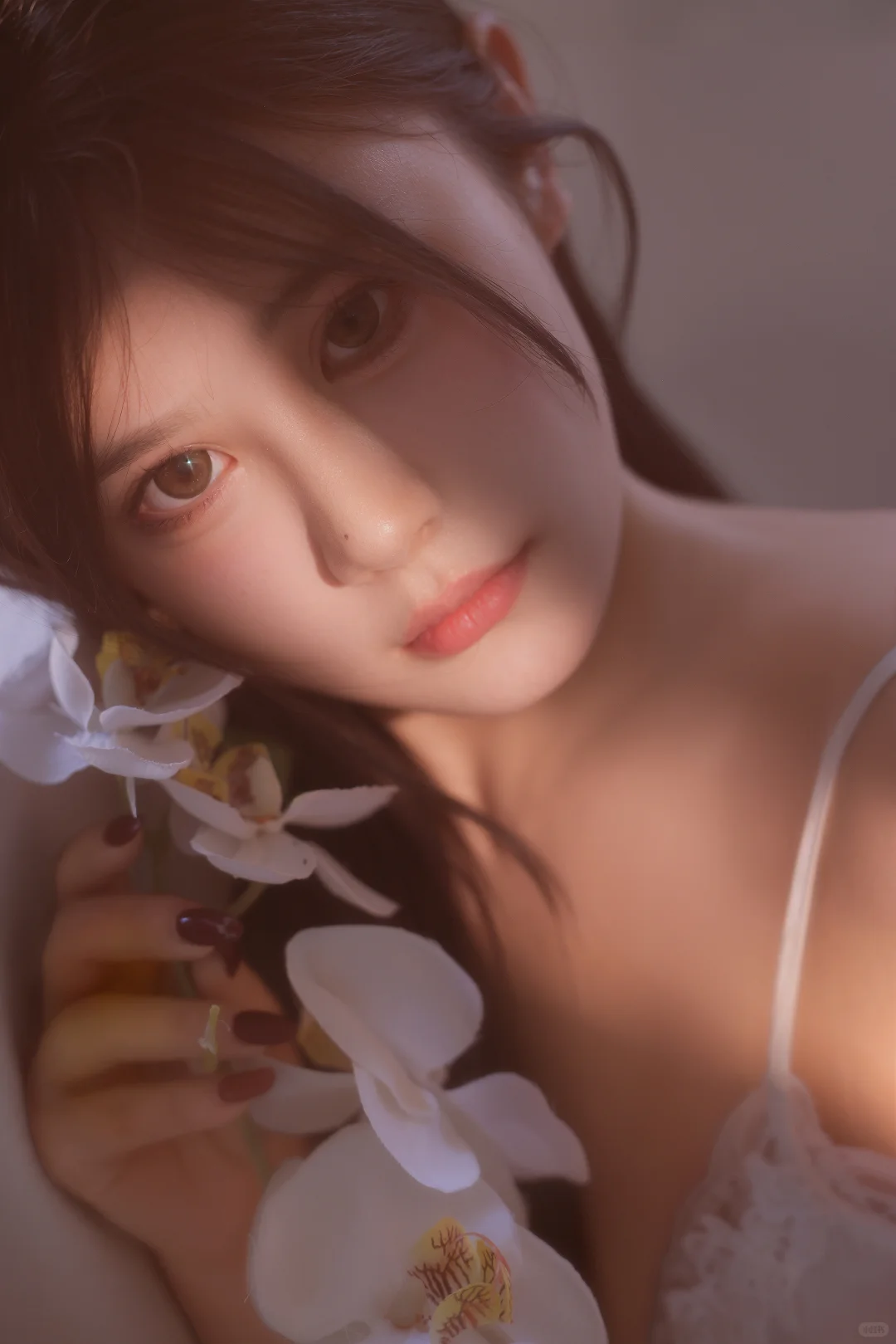 写真 | 居家写真这么拍