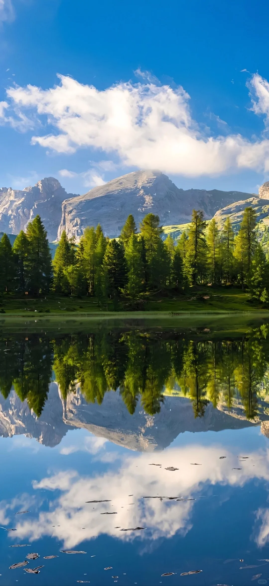 我不允许谁还没用上iOS 26景深壁纸🐮