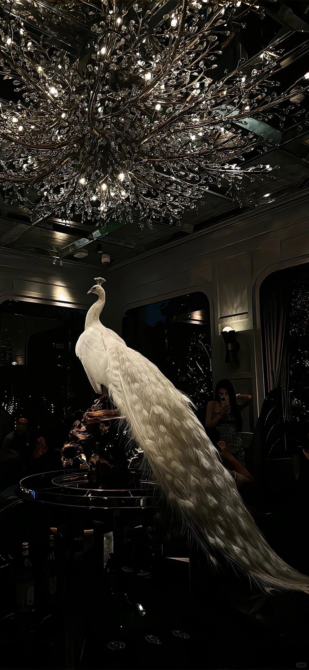 𝙒𝙚𝘾𝙝𝙖𝙩壁纸｜一眼沉沦的高级感