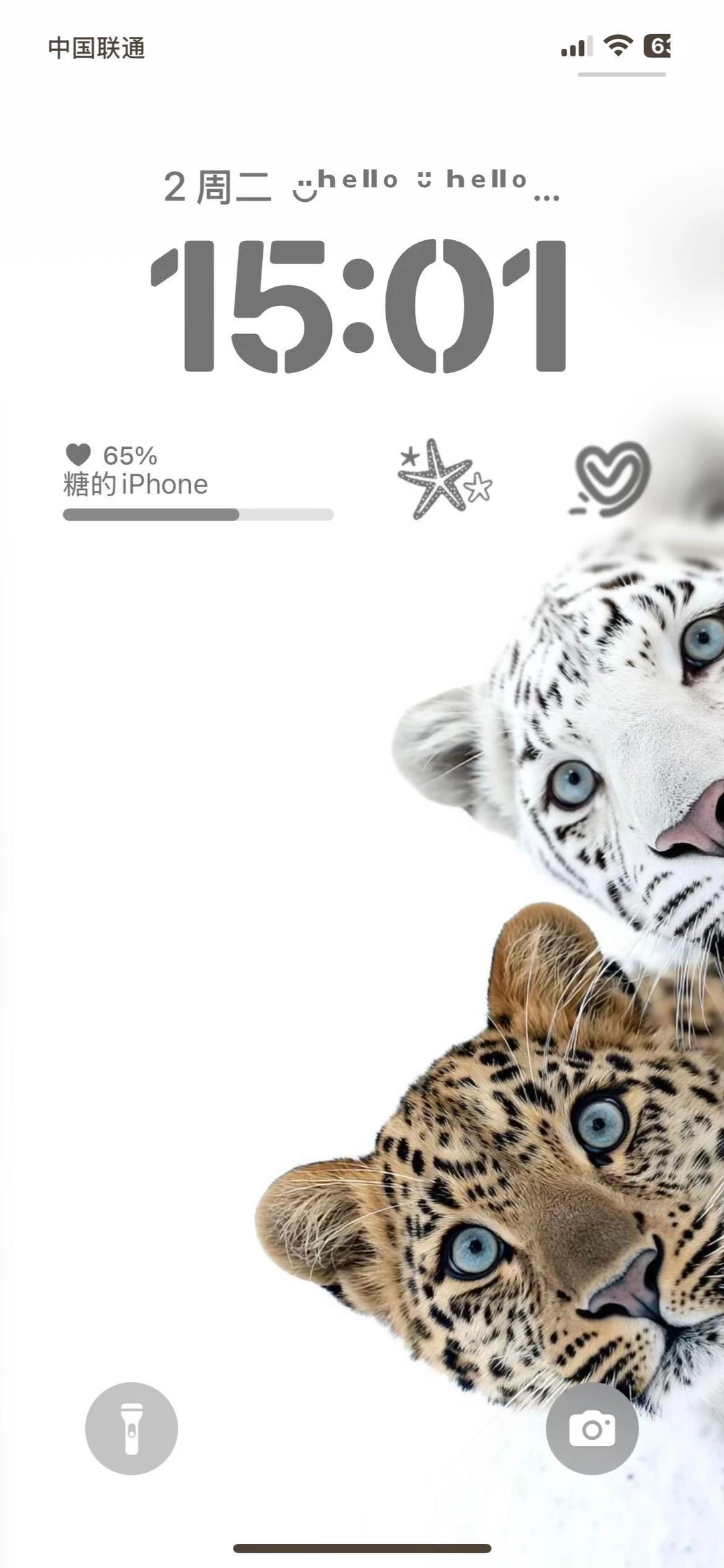 白虎与豹子｜壁纸