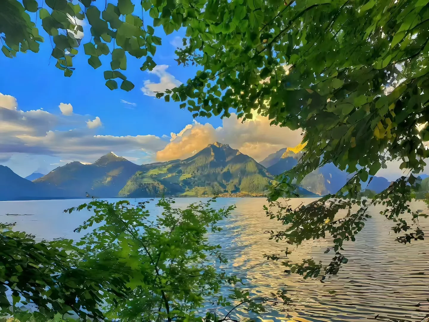 Share|3D景深壁纸