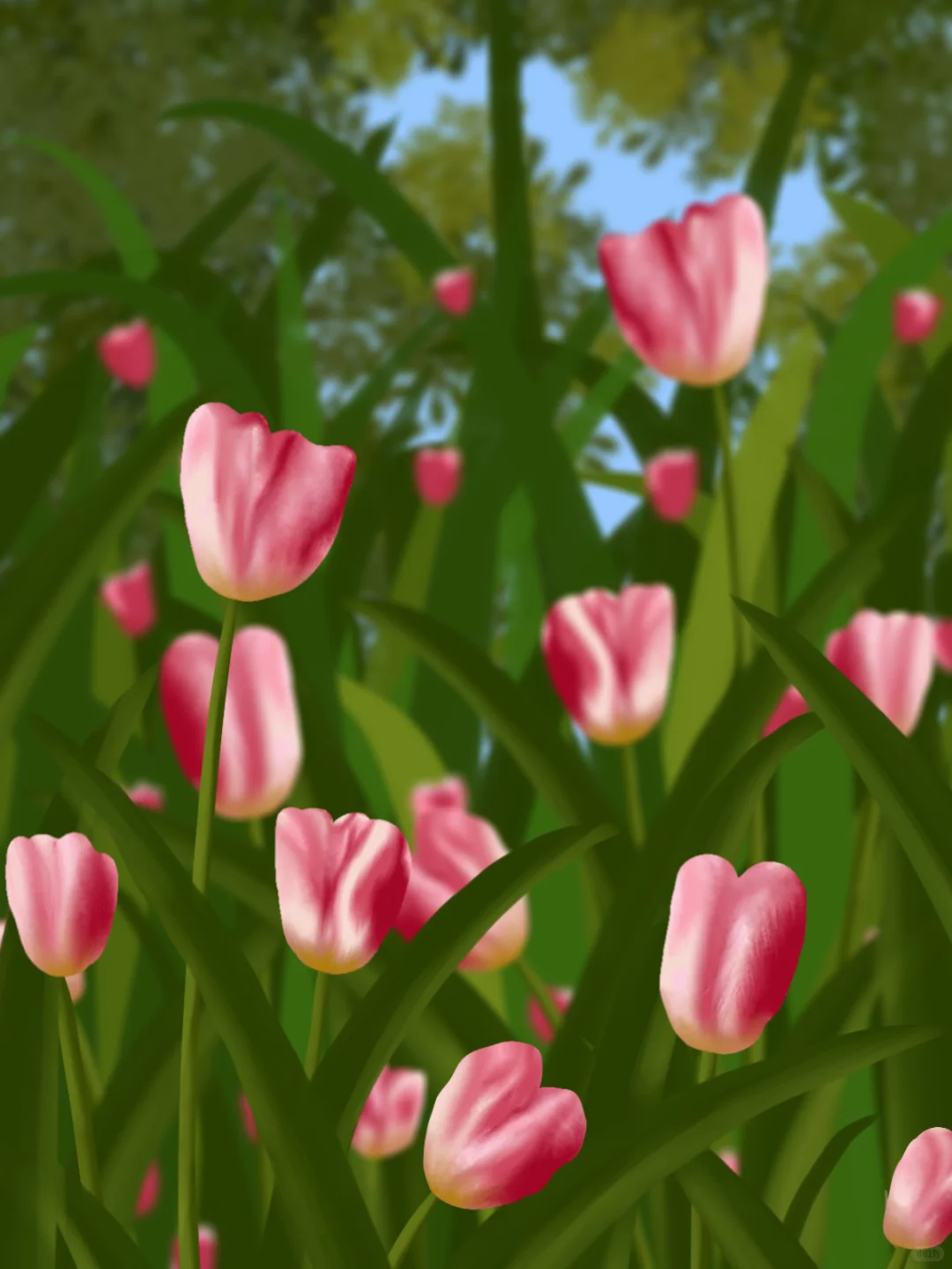 郁金香🌷｜画世界Pro