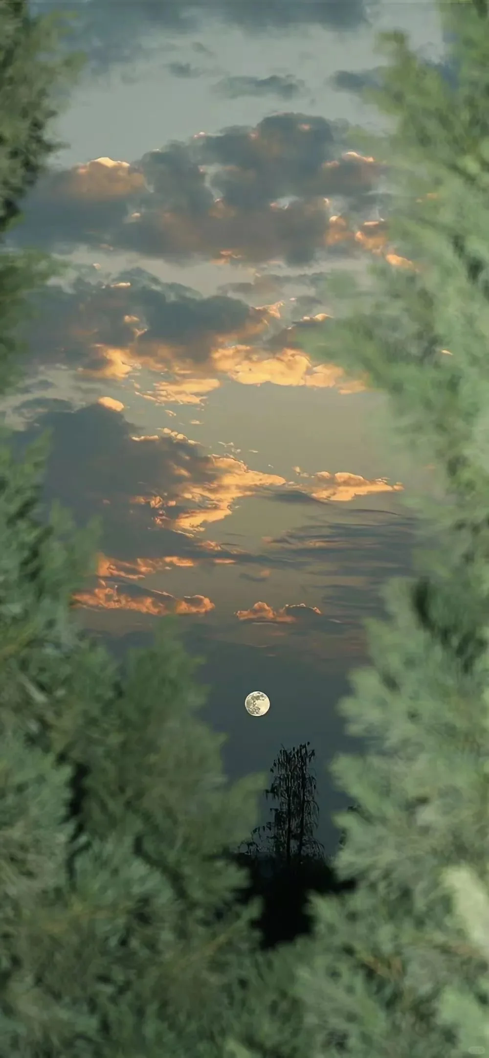 日落是新一天开始的征兆