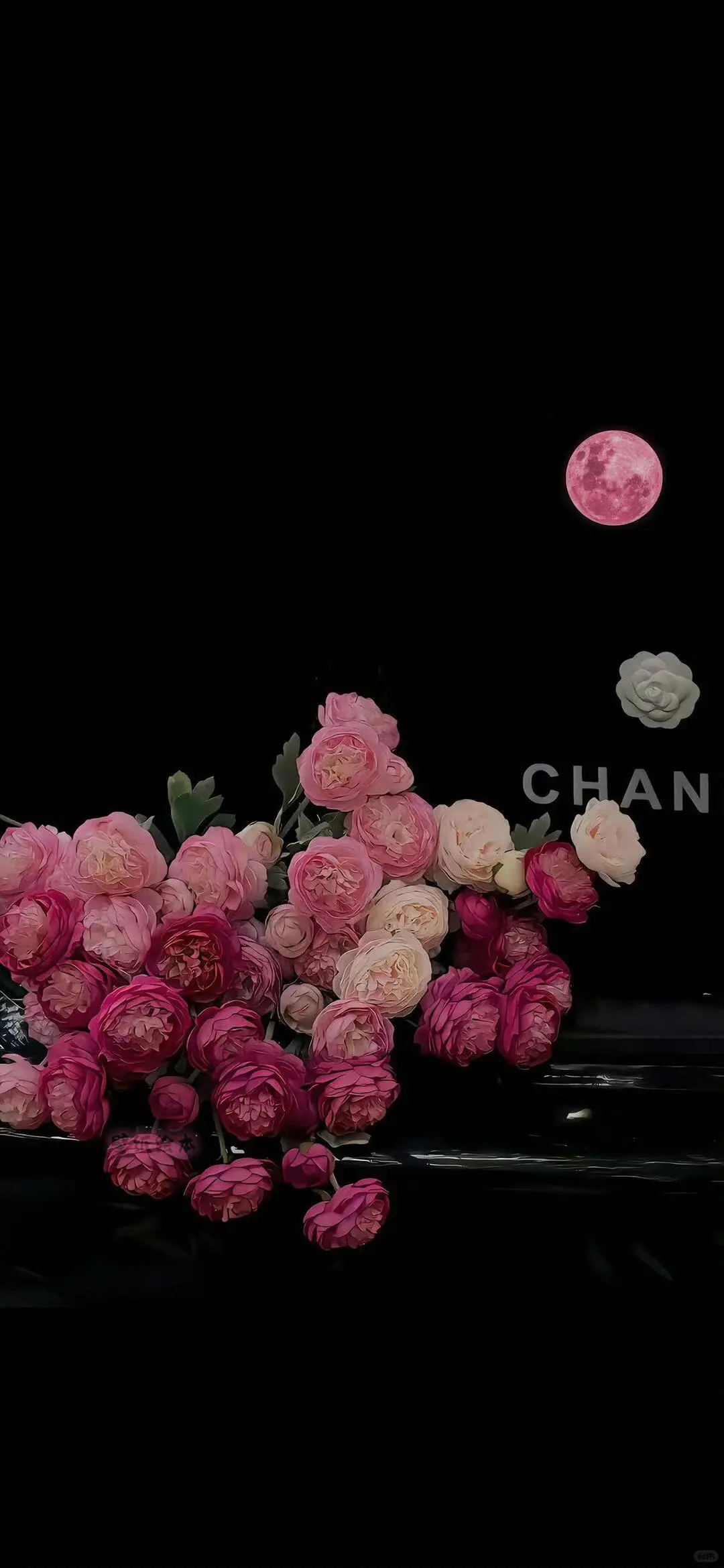 💒 𝐒𝐡𝐚𝐫𝐞｜黑白鲜花壁纸