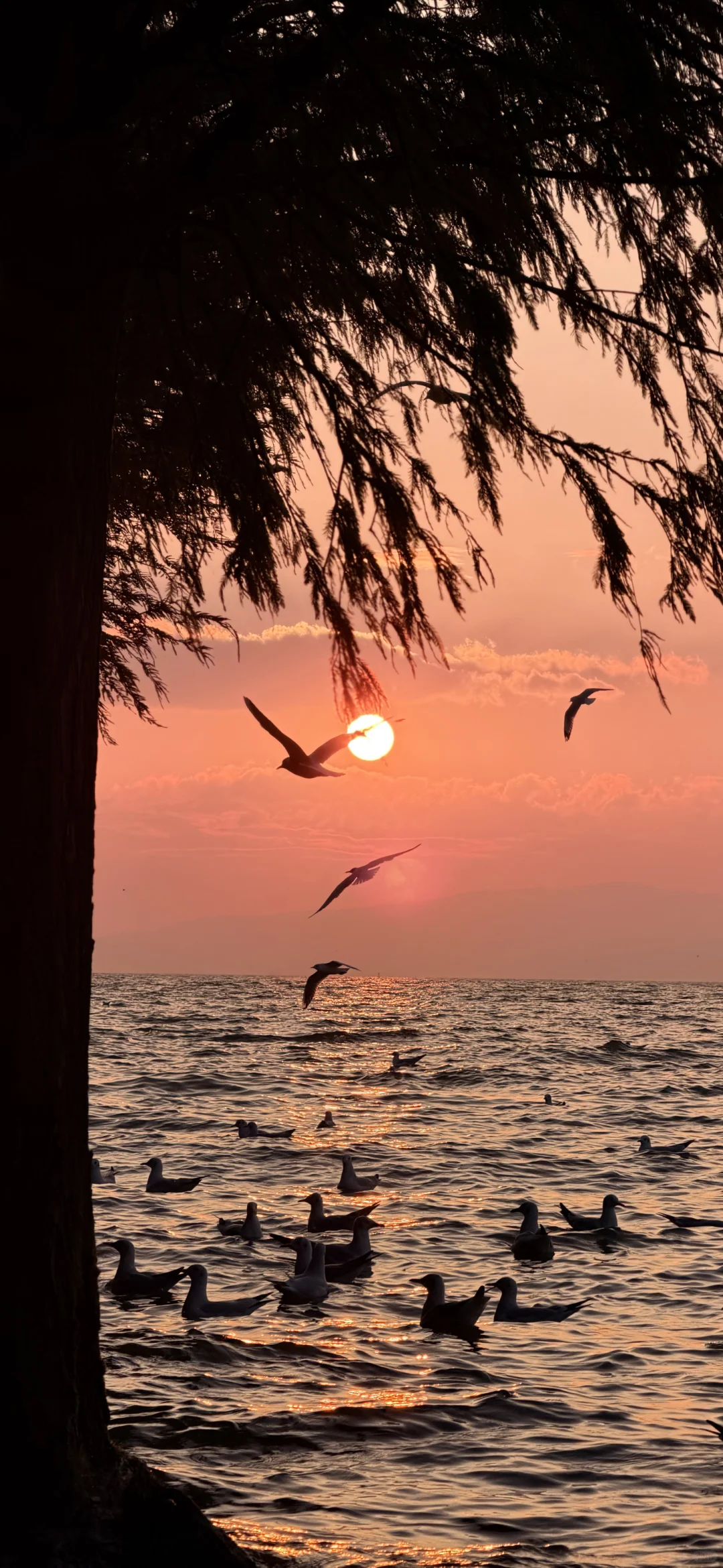 壁纸Fun｜高清原图