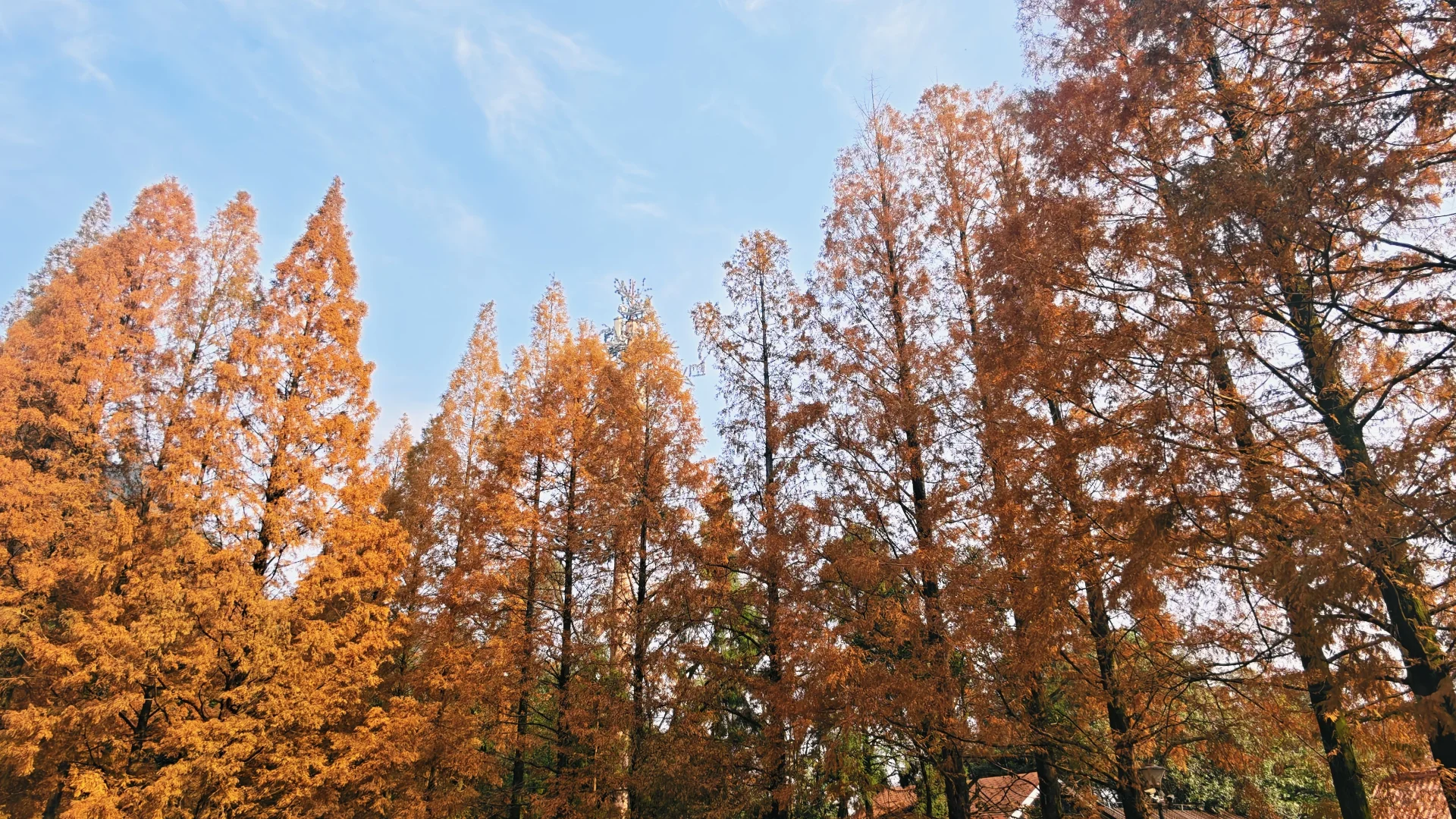 所以，焦虑的你，缺的是与自然的交融和互动
