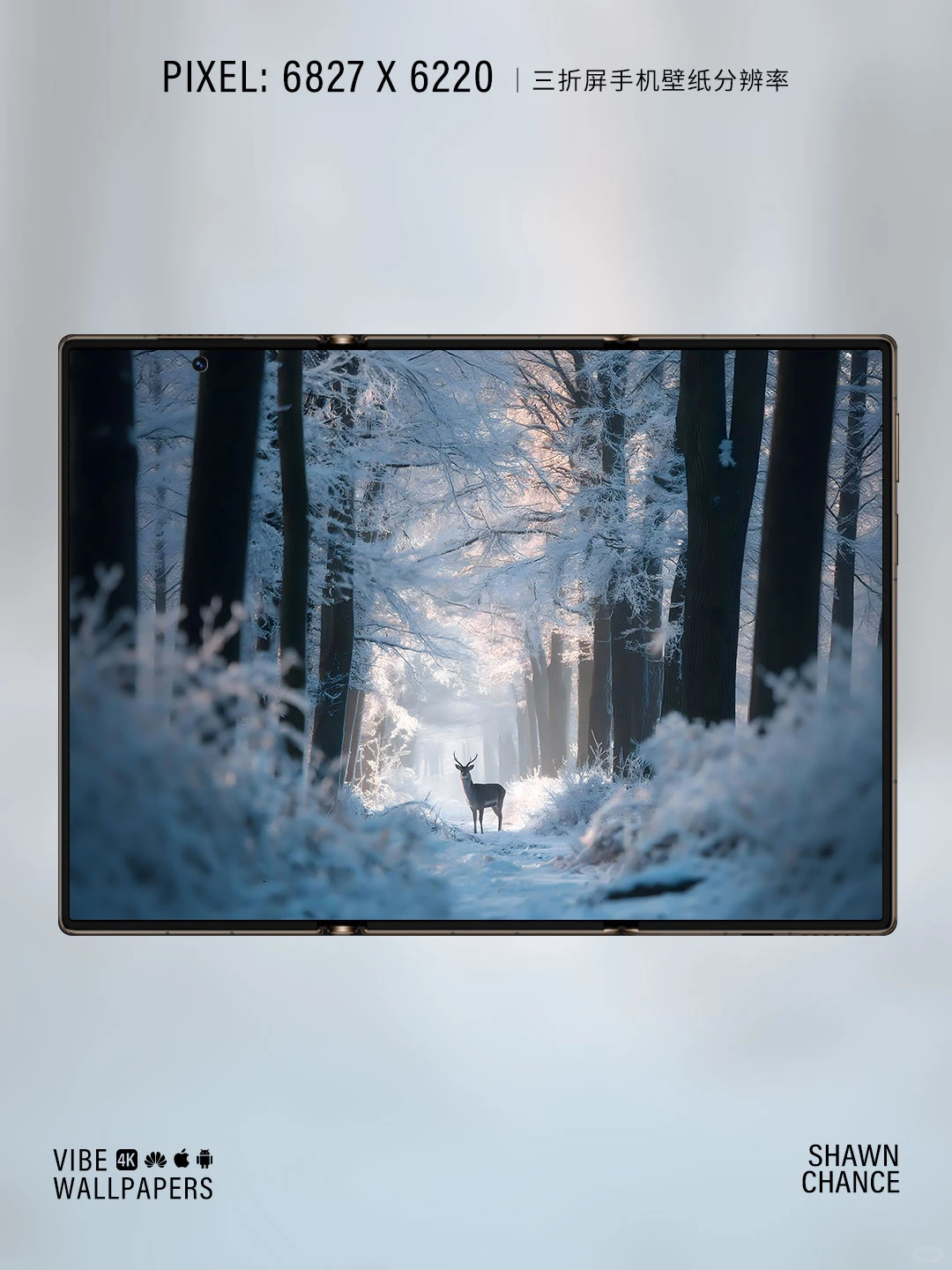 🦌雪林中的鹿，氛围感直接拉满～