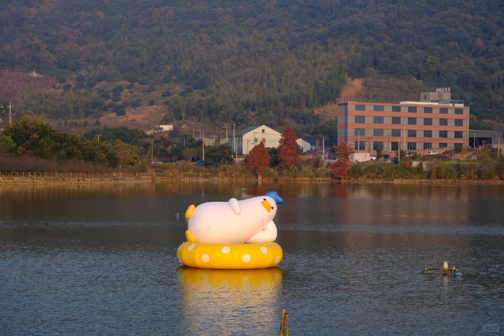 12.7下午3点左右麻岙水库偶遇美少女