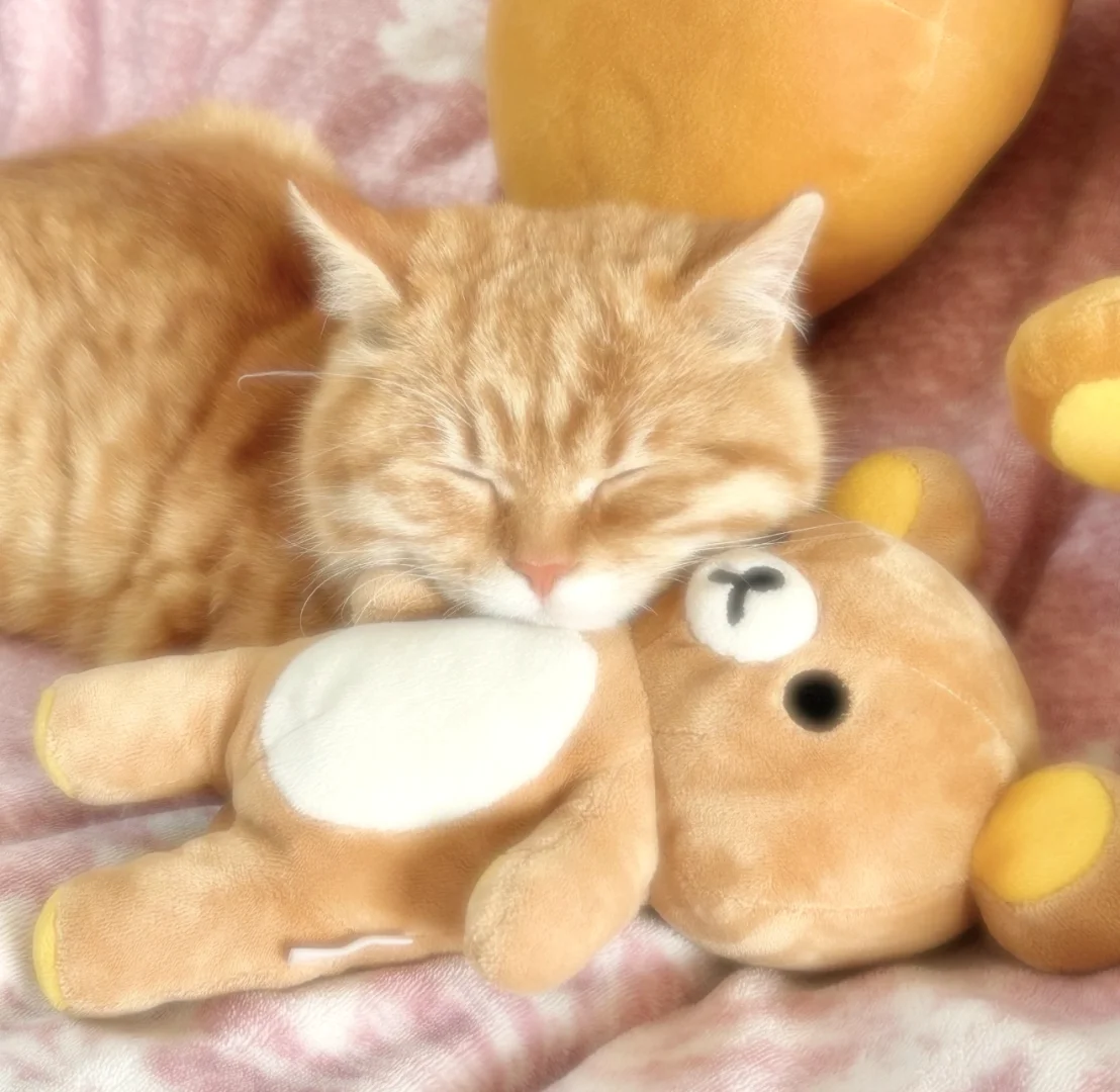 Share 拼接壁纸 ʕ •ᴥ•ʔ