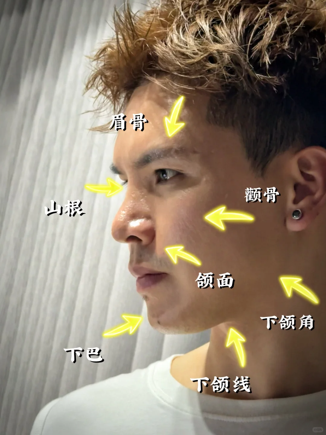 决定颜值和脸型的几大分布❗