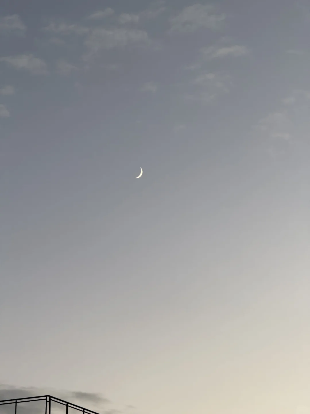 ﾐ^⸝⸝> ◦ <⸝⸝ ^ﾐ🎀