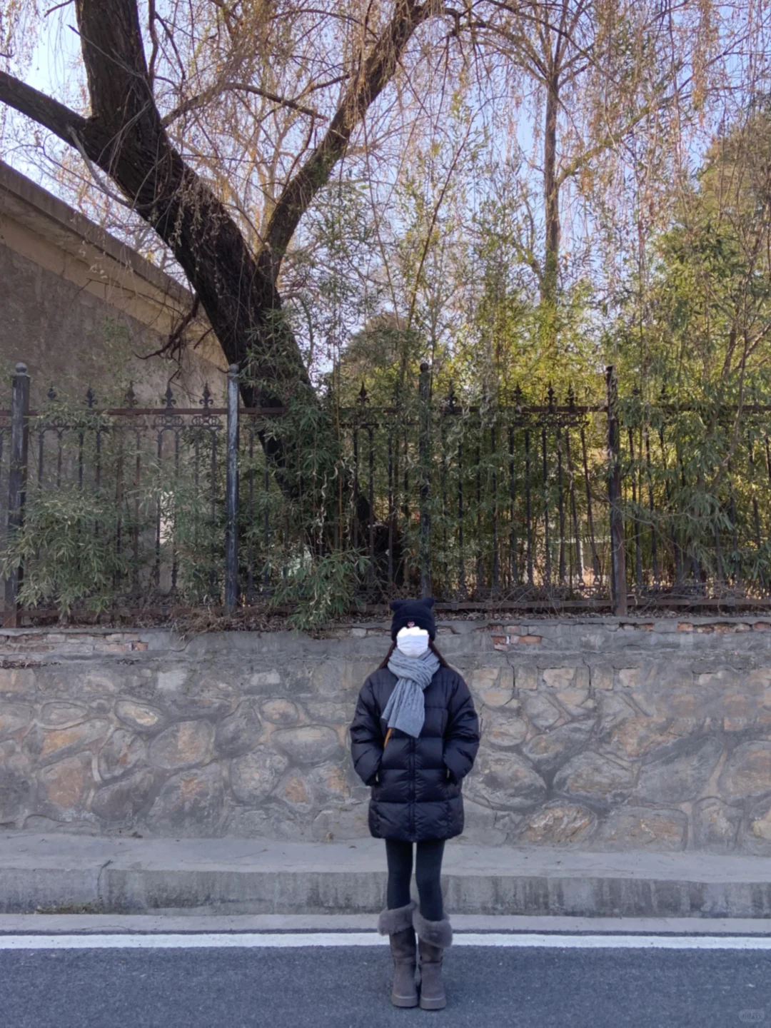 黑灰调调🐕‍🦺