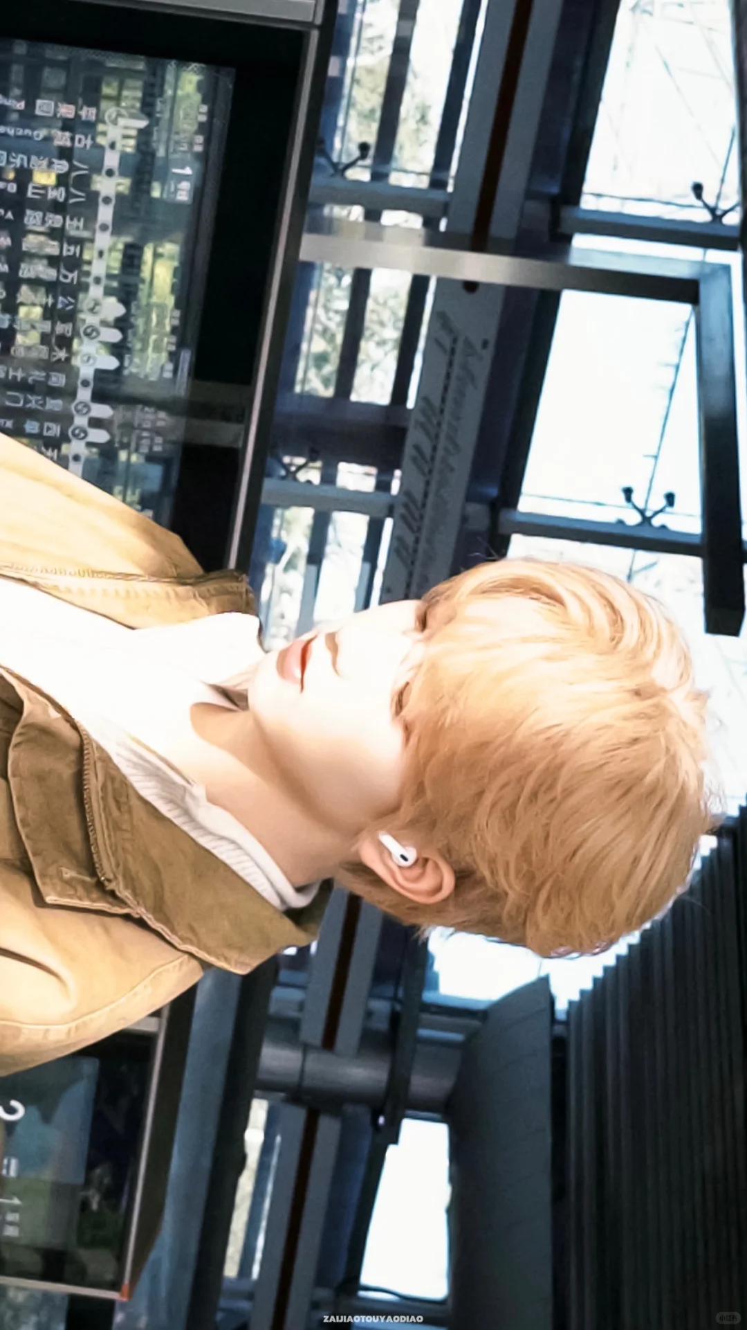 Share壁纸｜阳光下☀️