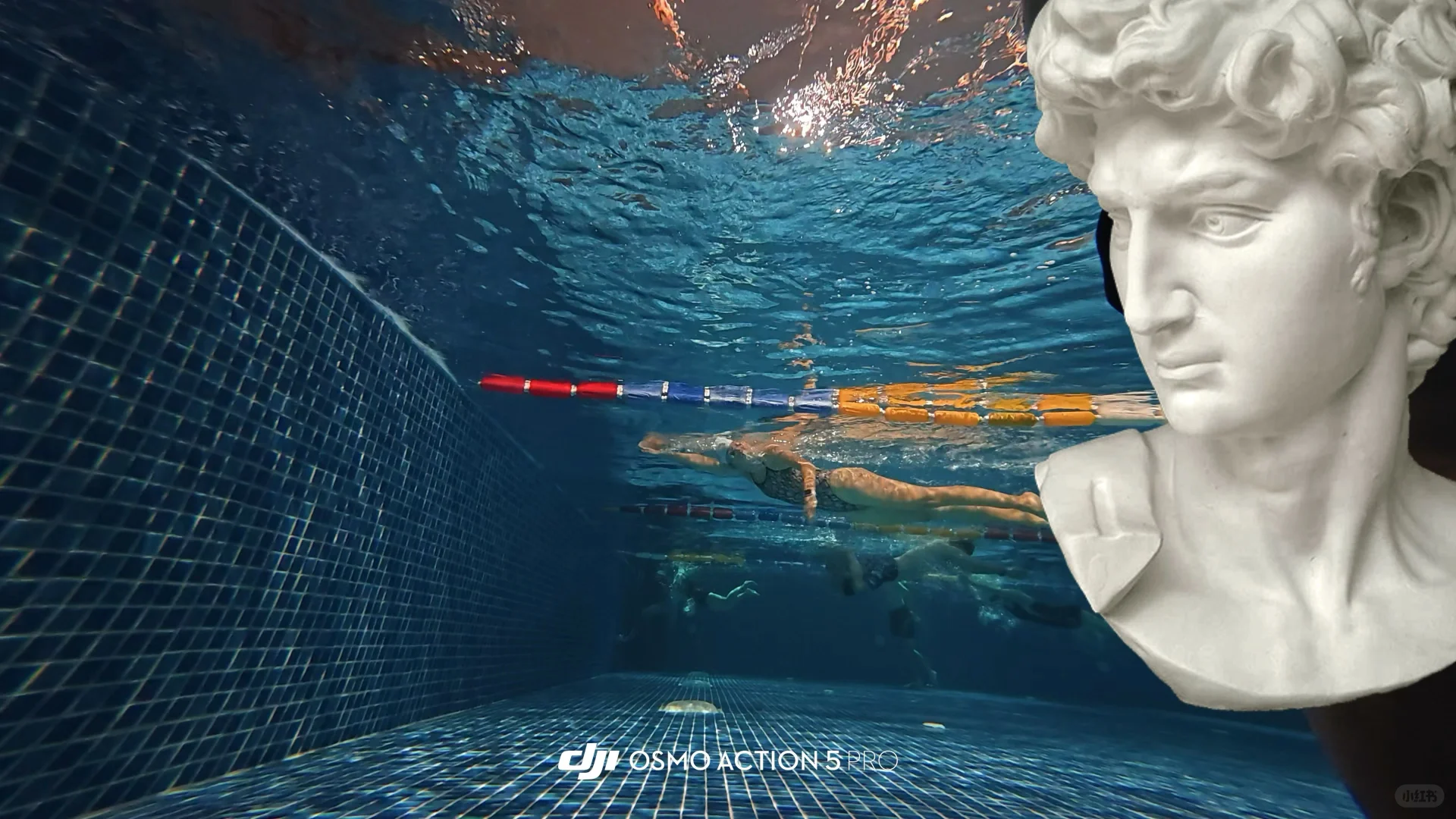 好消息｜学会自由泳了