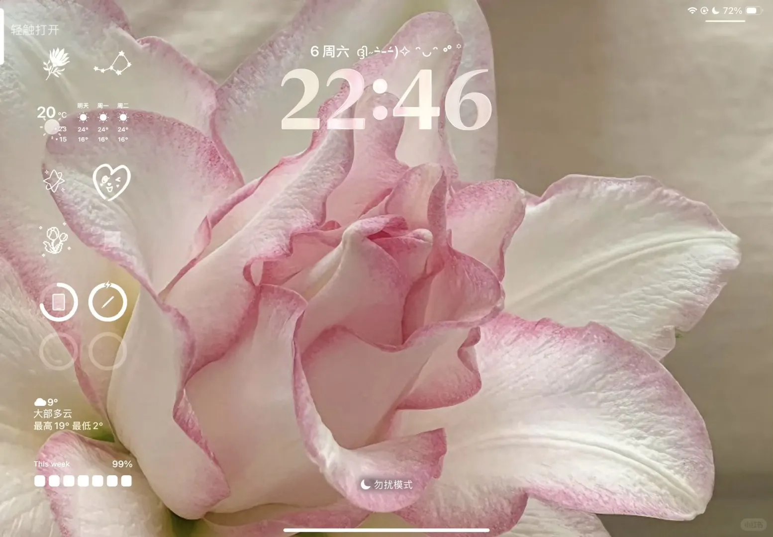 鲜花iPad壁纸💐