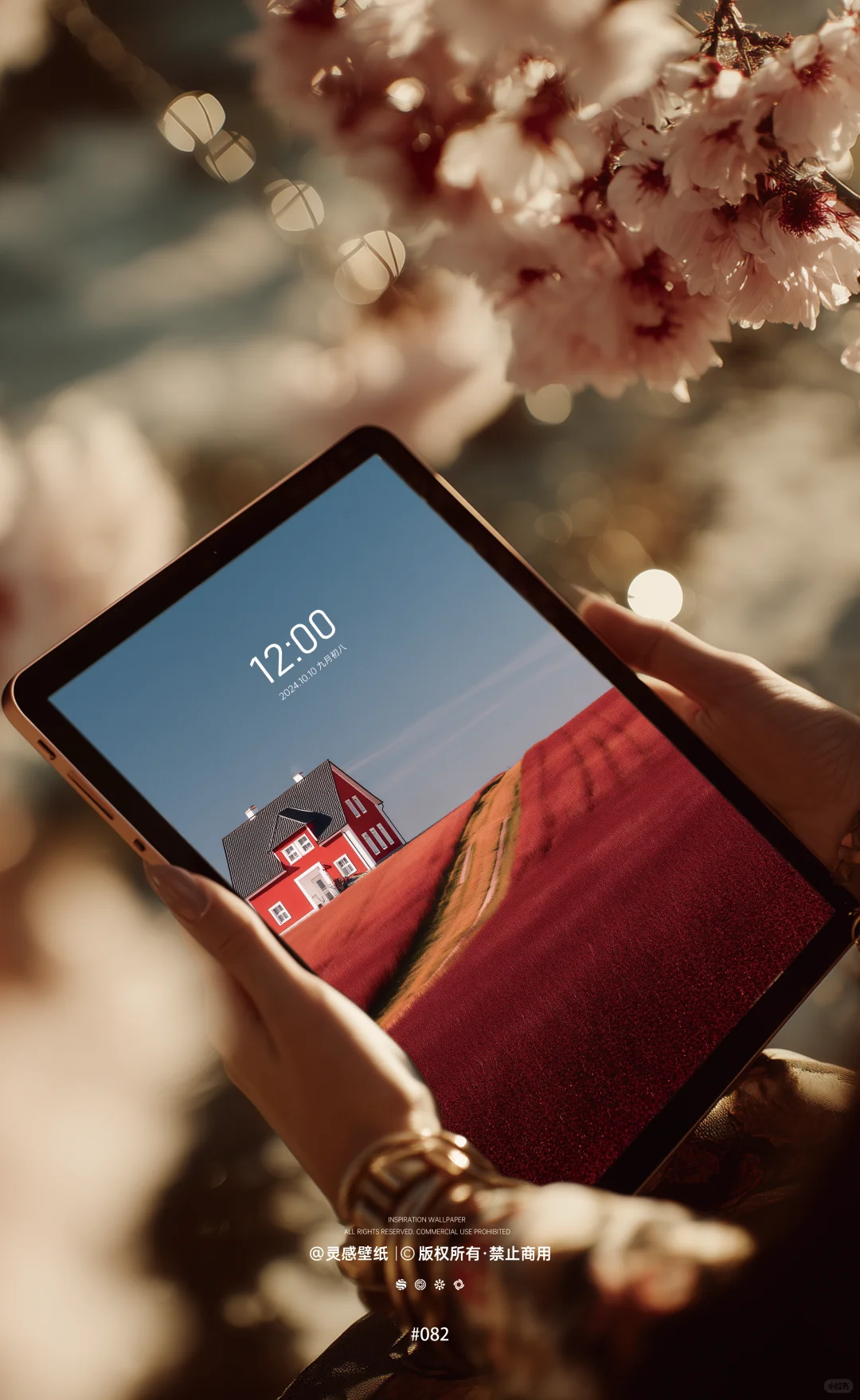 壁纸大放送|把「秋日焦糖」揣进手机里🍂