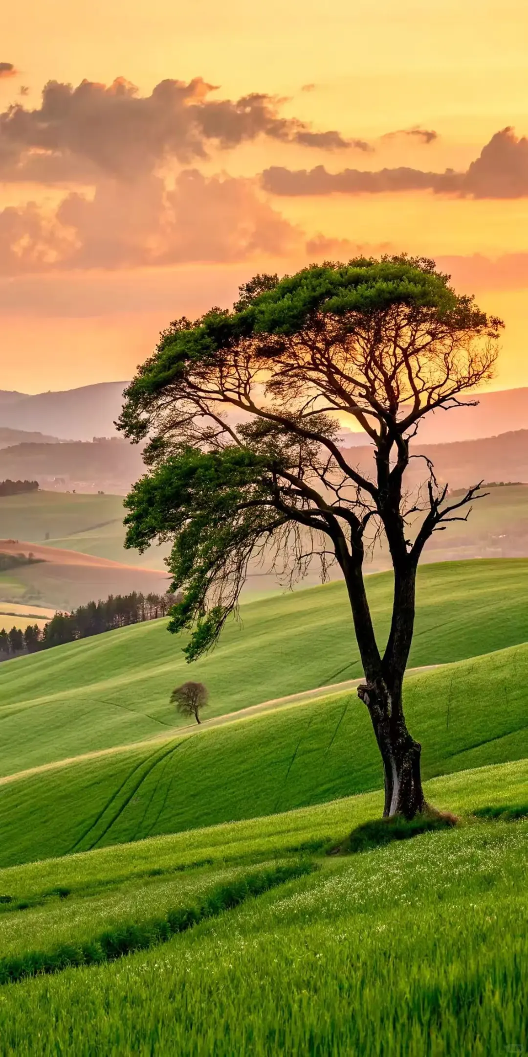 风景壁纸、日落、晚霞、风景、日出