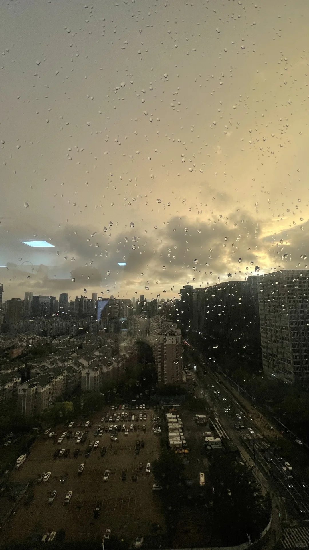 9月的泳池水清晰可见